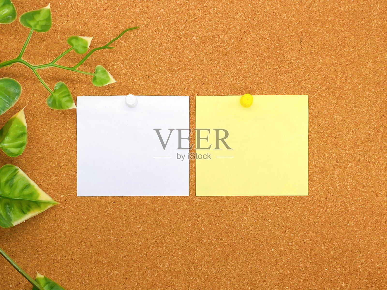 软木板照片摄影图片