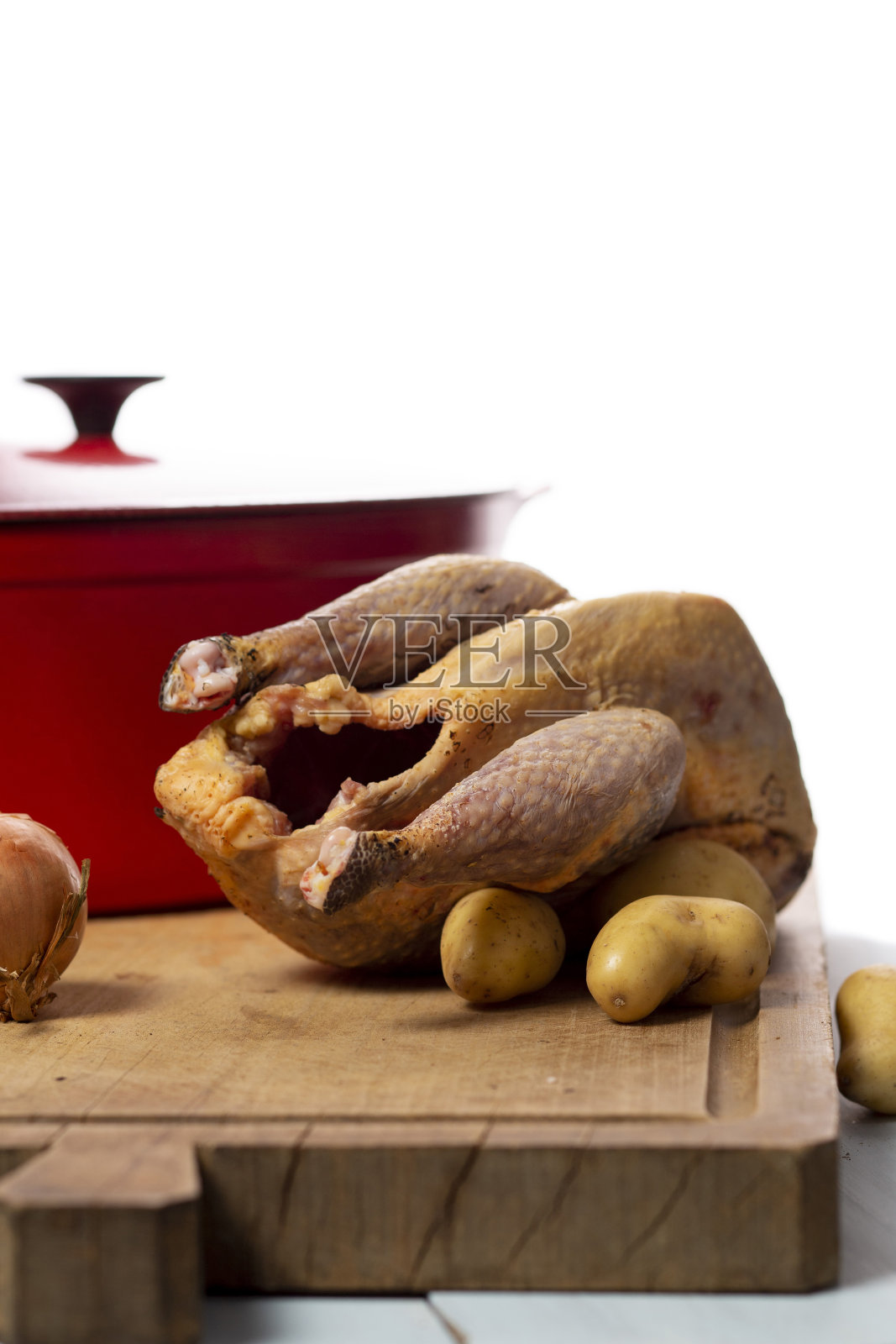 鸡照片摄影图片