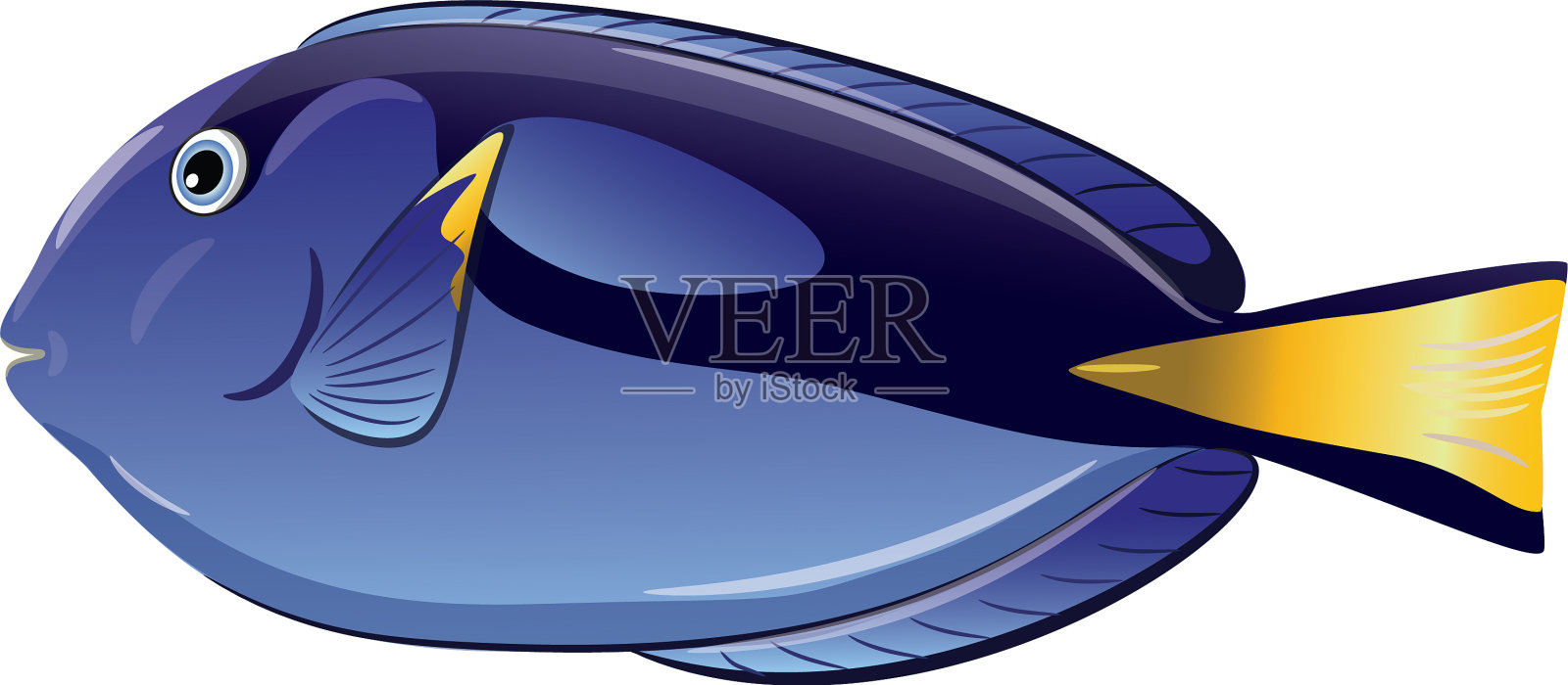 热带鱼副肝设计元素图片