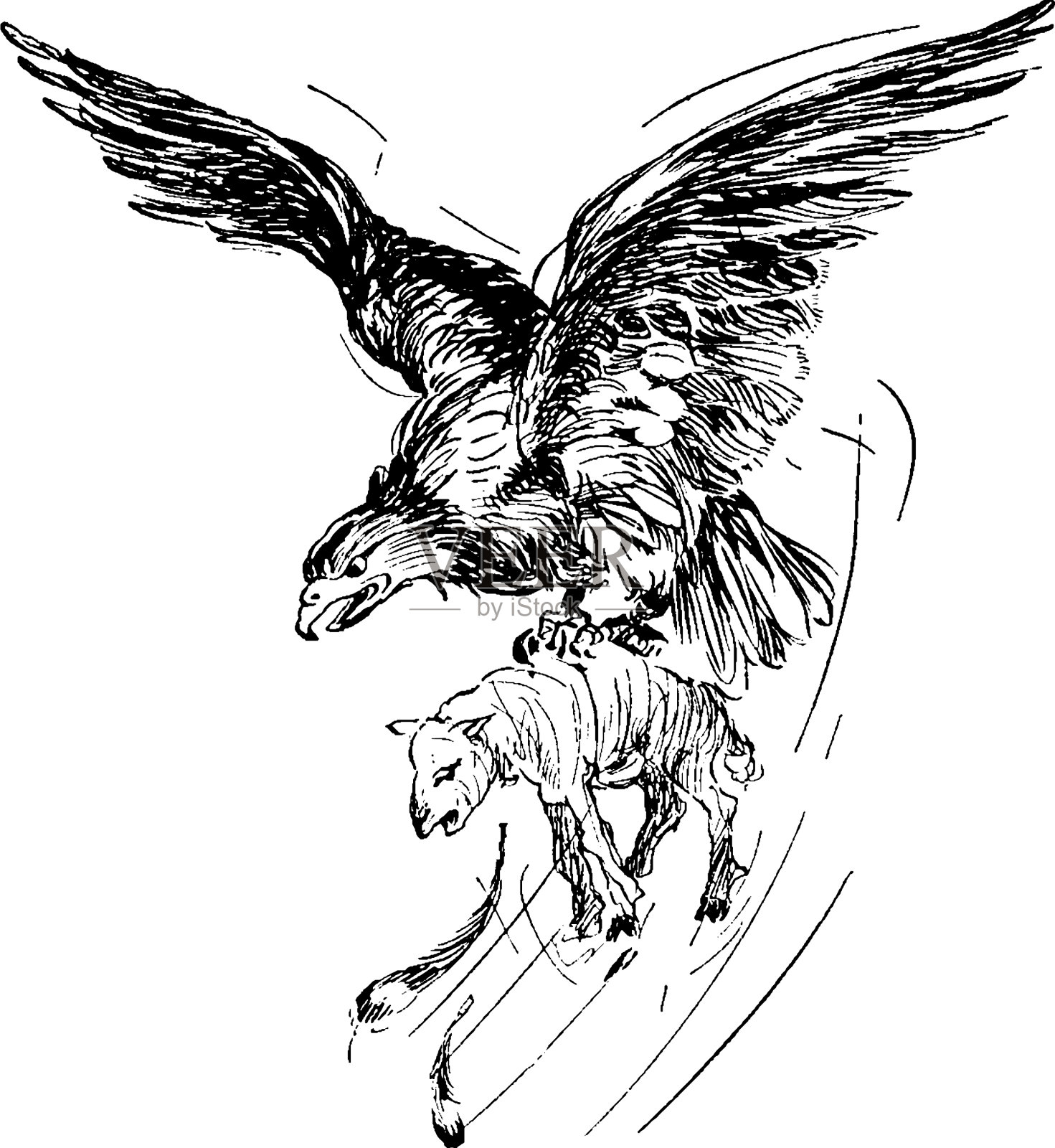 老鹰与猎物设计元素图片