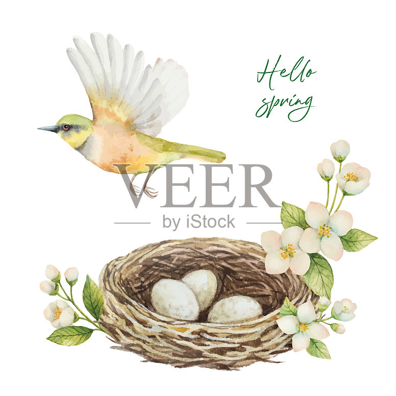 鸟窝蛋水彩花环设计元素图片