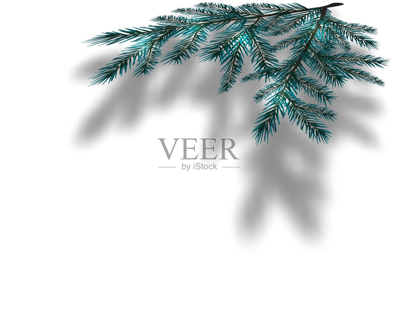 蓝色的圣诞树的树枝上孤立的白色设计元素图片