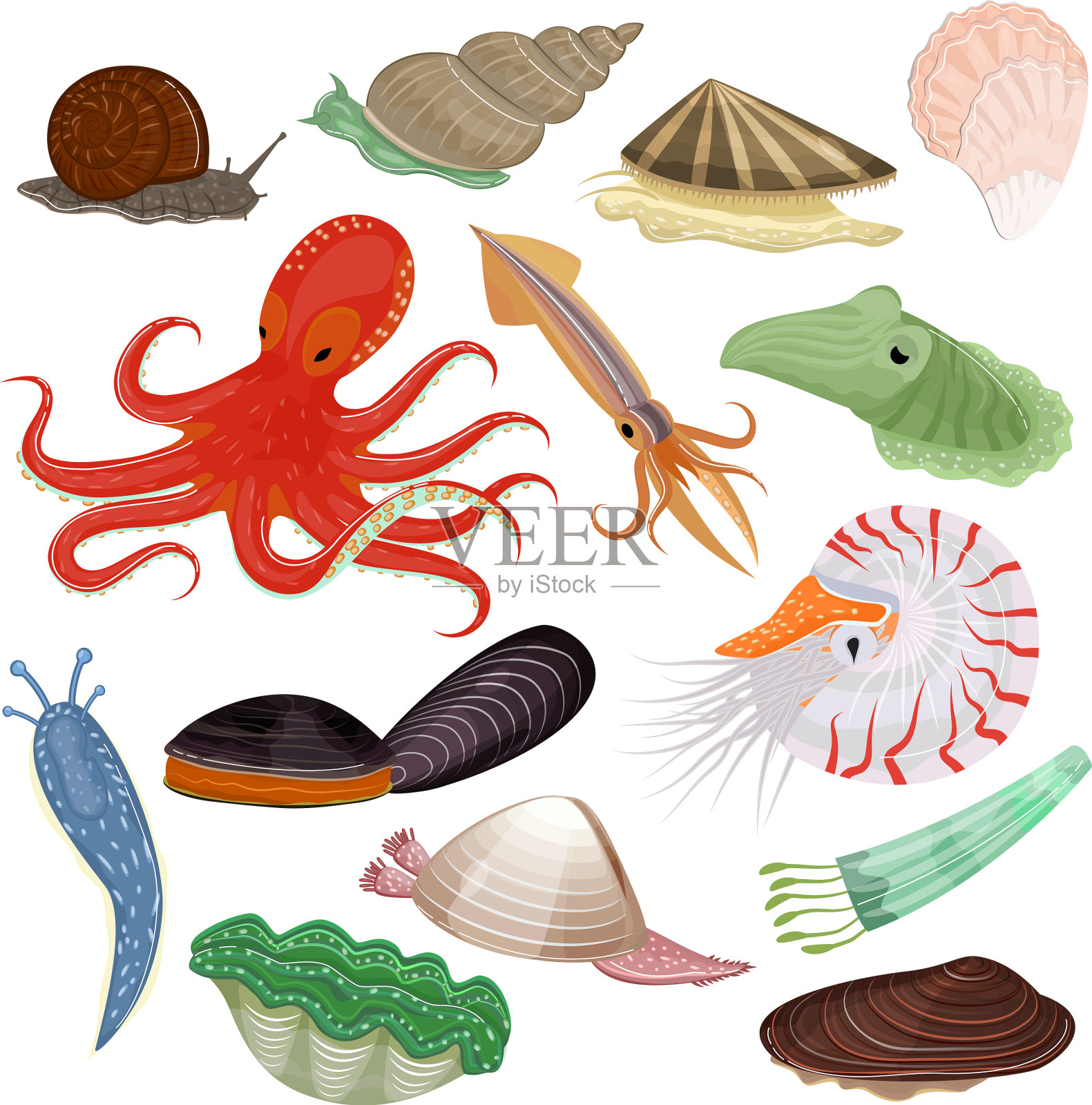 贝类海洋动物章鱼软体动物设计元素图片