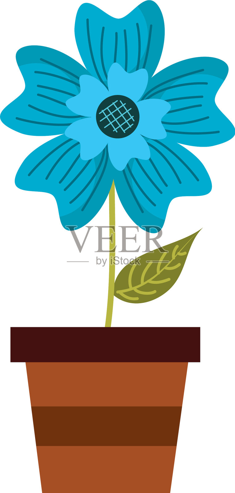 盆景长春花装饰自然植物设计元素图片