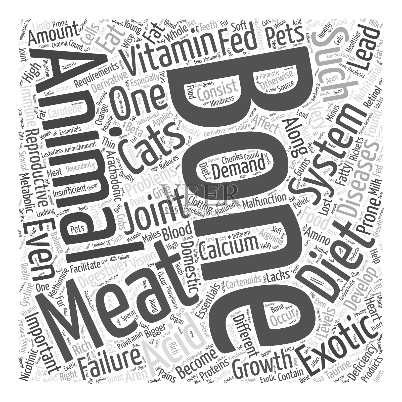 异国猫的饮食词汇云概念设计元素图片