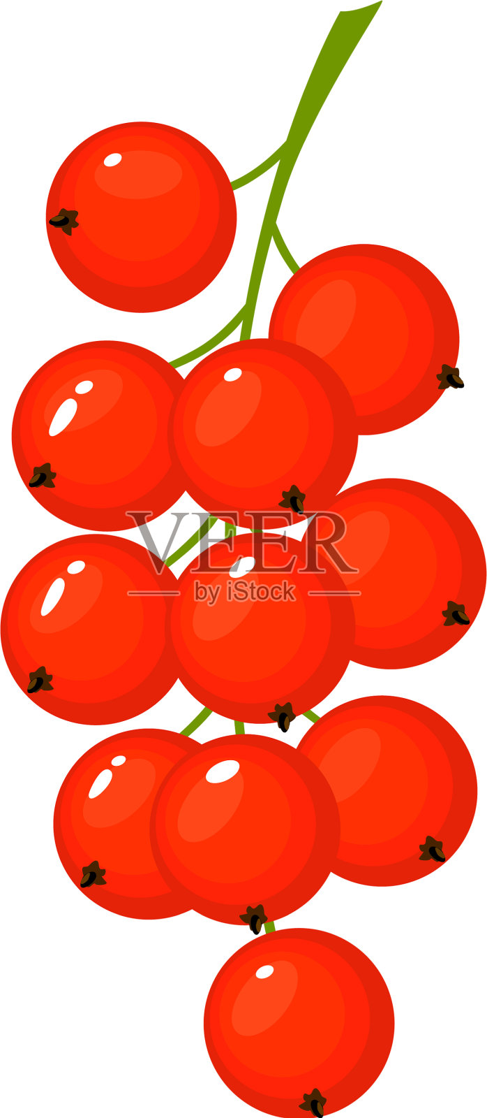 卡通新鲜的红醋栗孤立在白色设计元素图片