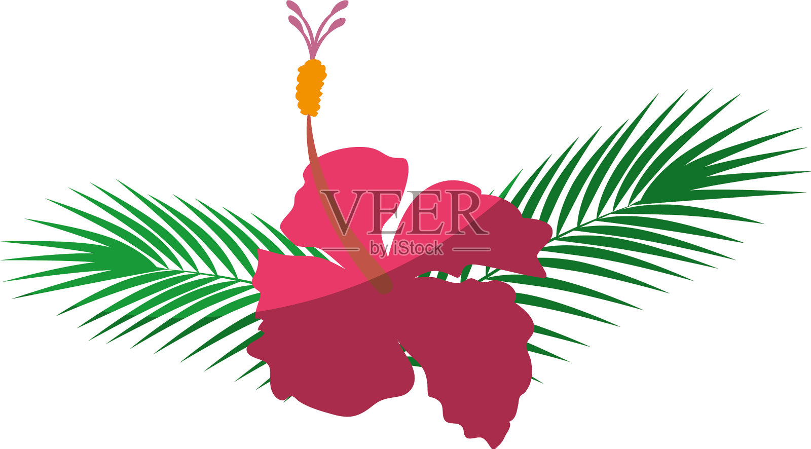 beauitful花卉园艺设计元素图片