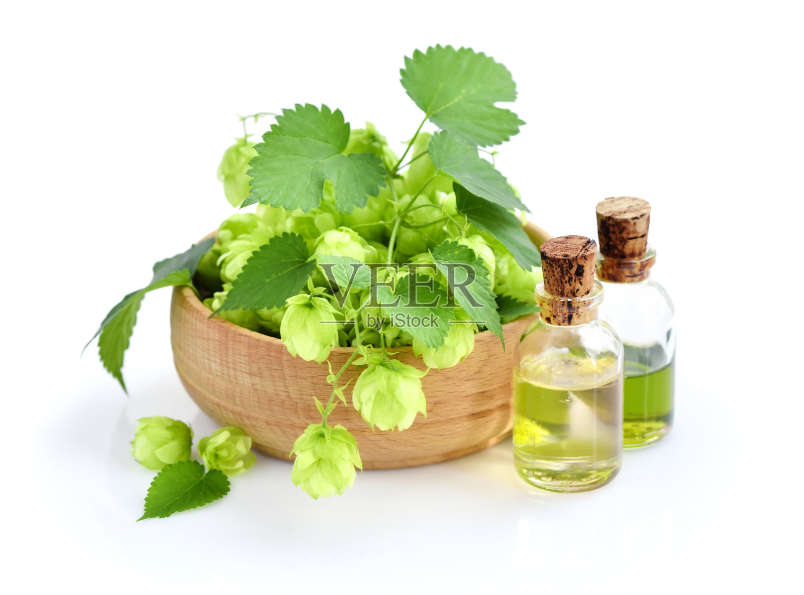 啤酒花球果(葎草)与药用植物提取物的玻璃瓶分离在白色背景照片摄影图片