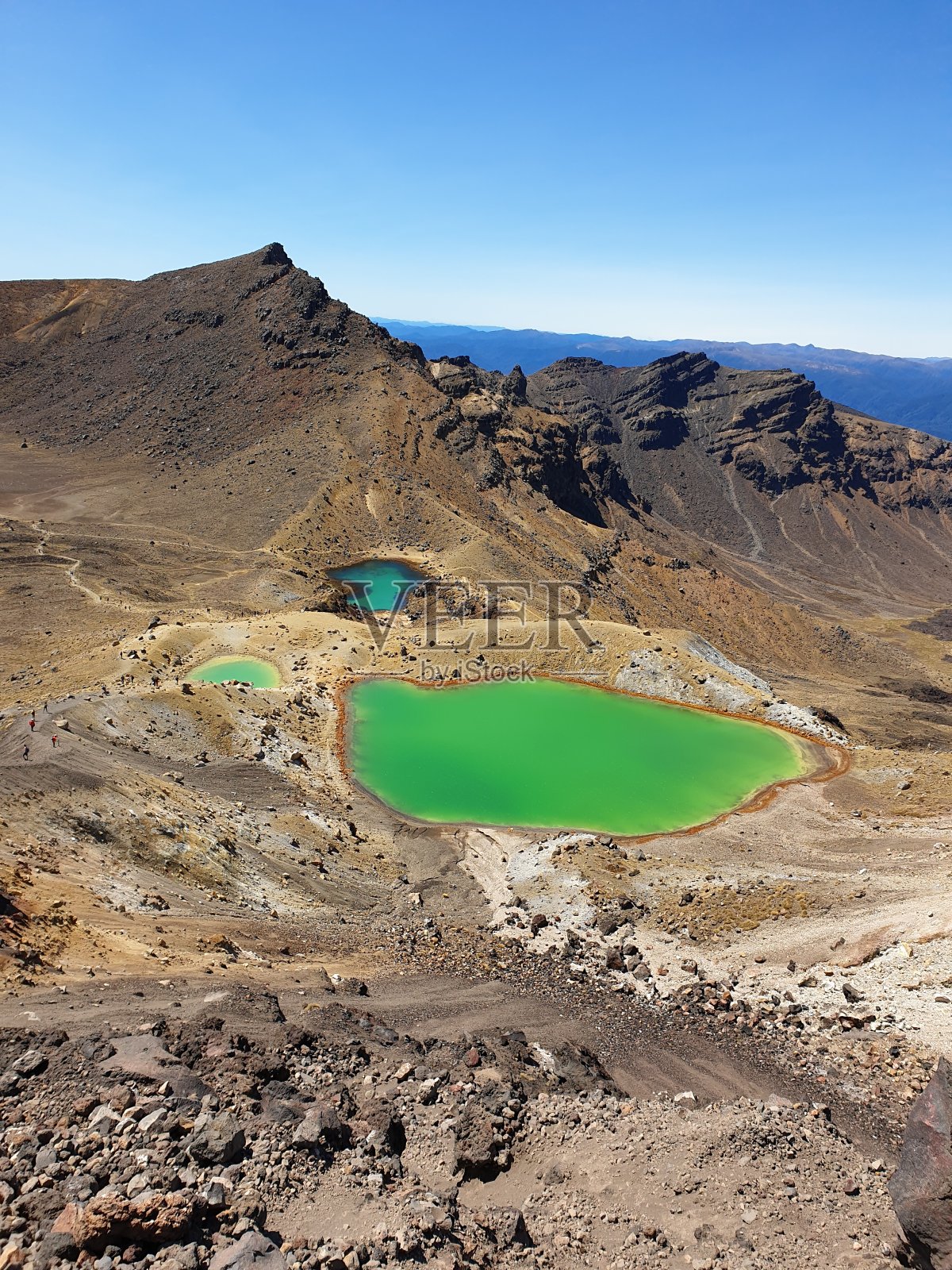 新西兰汤加里罗国家公园的霓虹绿色火山湖照片摄影图片