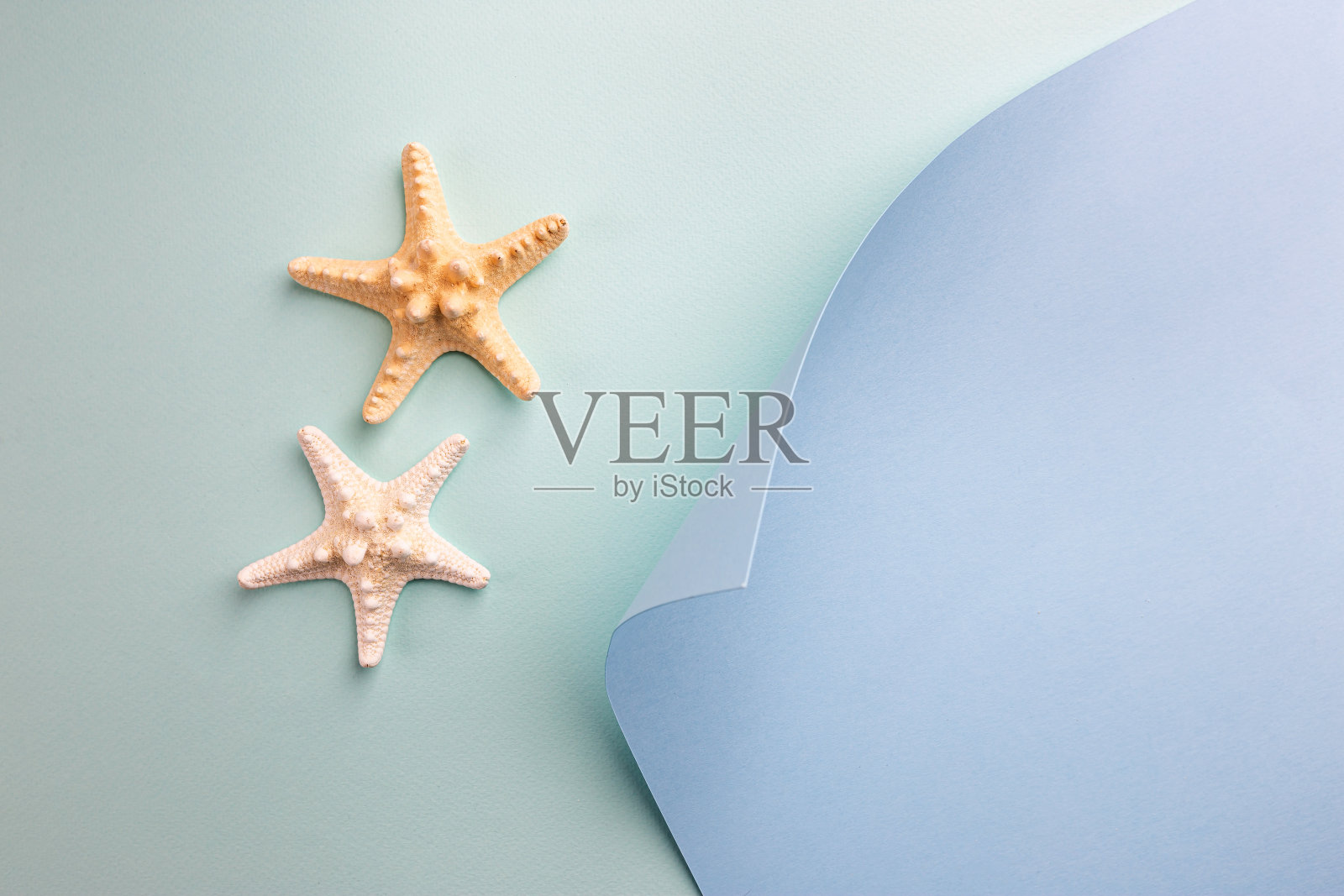 夏季海平躺照片摄影图片