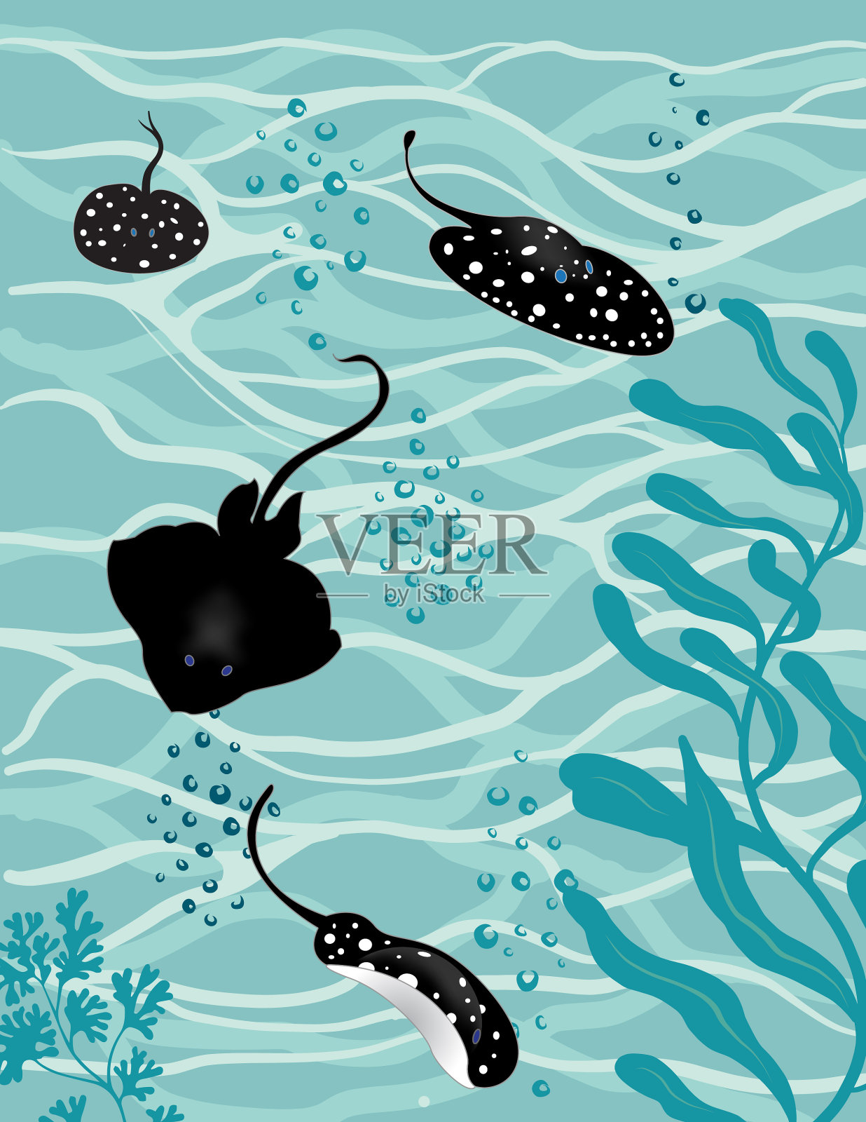 蝠鲼鱼在水下插画图片素材