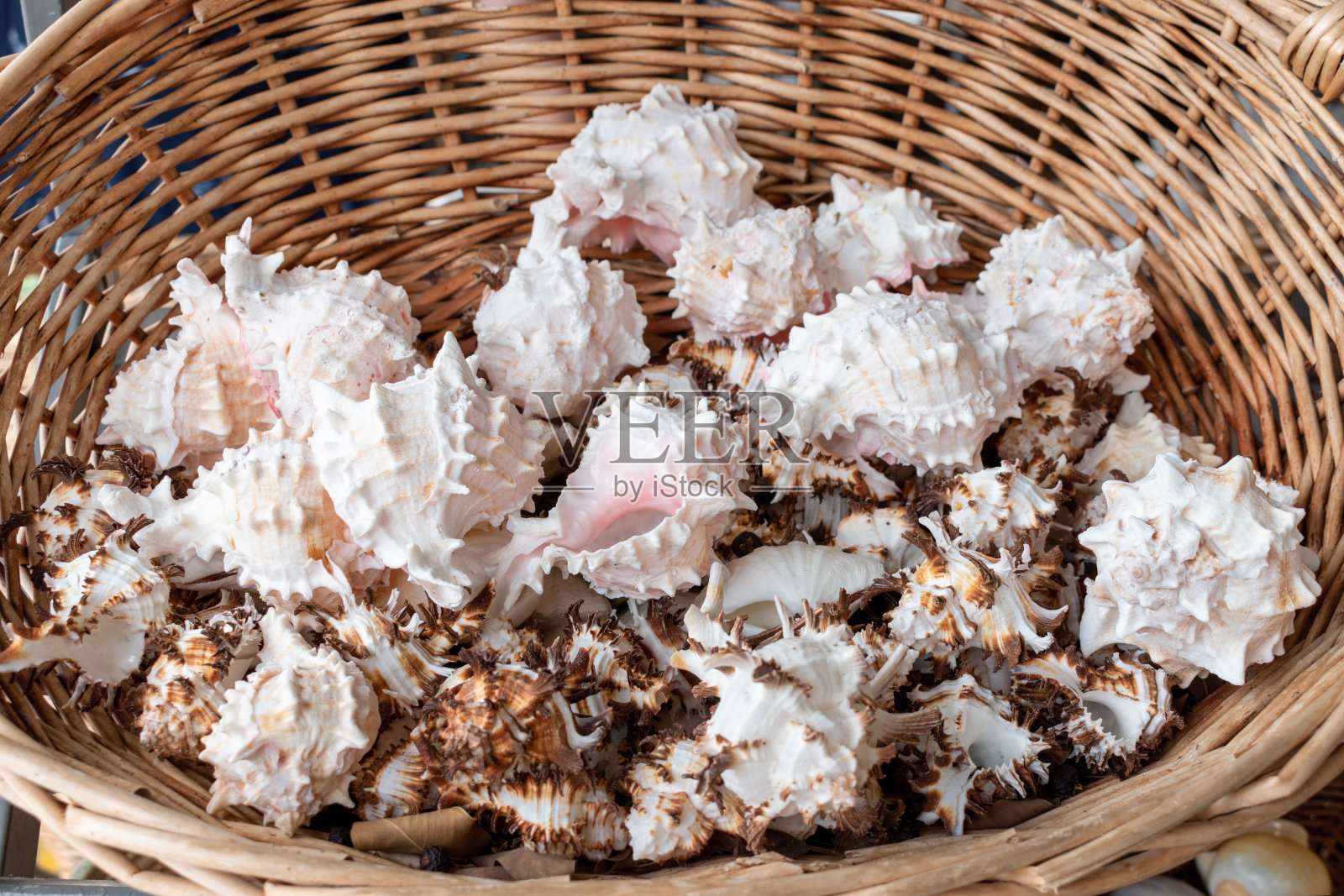 不同性质的贝壳放在一个篮子里。自然背景。照片摄影图片