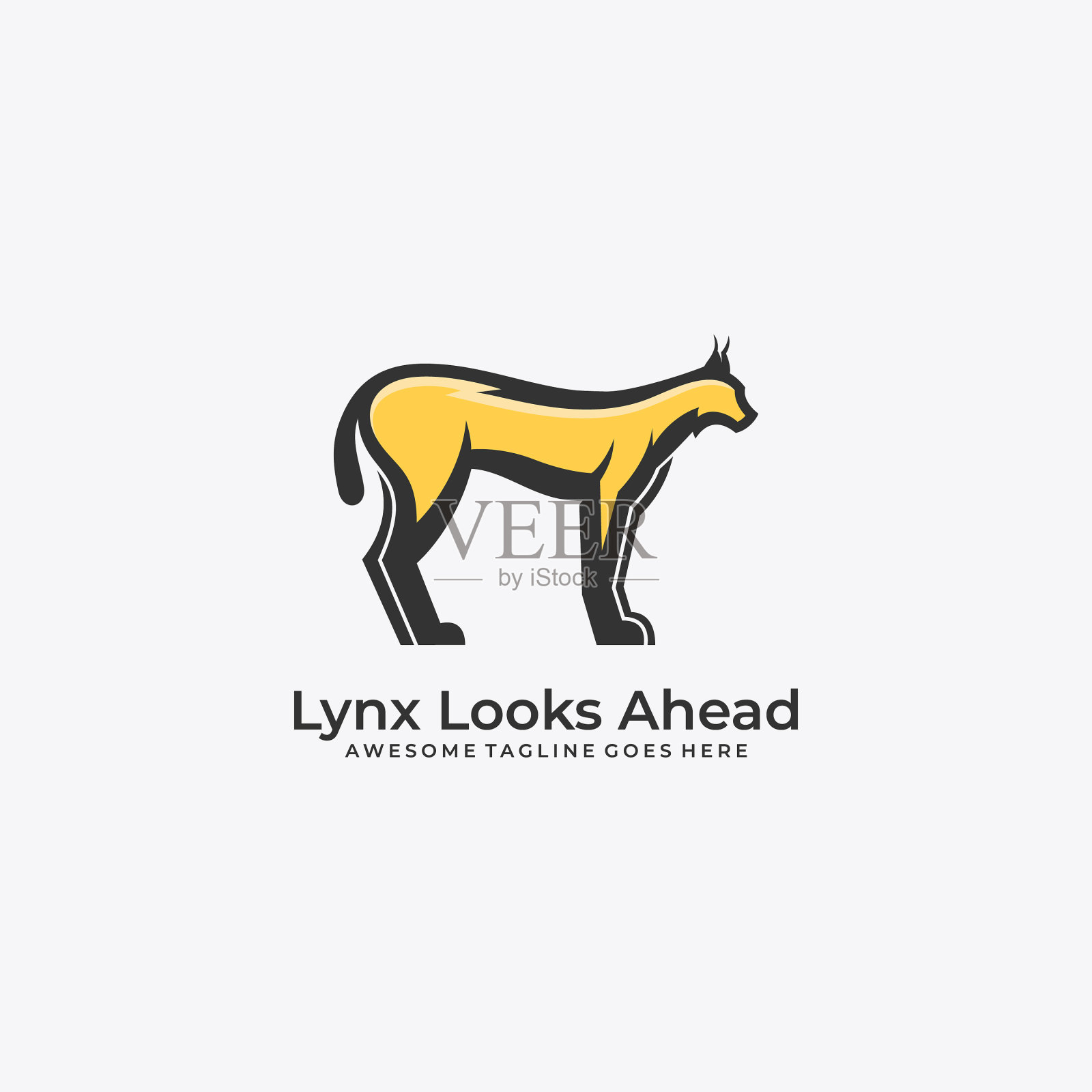 Lynx向前看模板插画图片素材