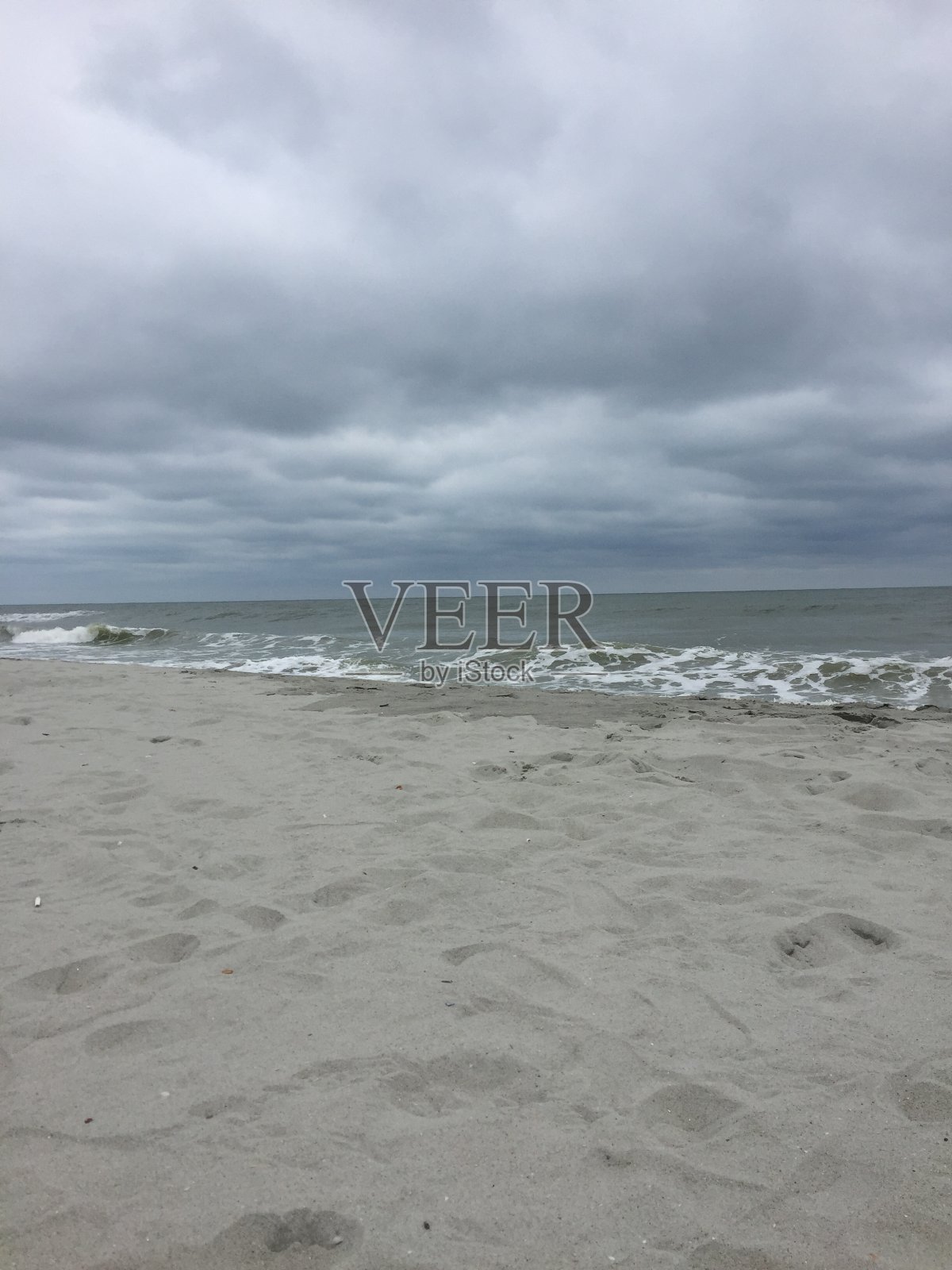 桃金娘海滩照片摄影图片