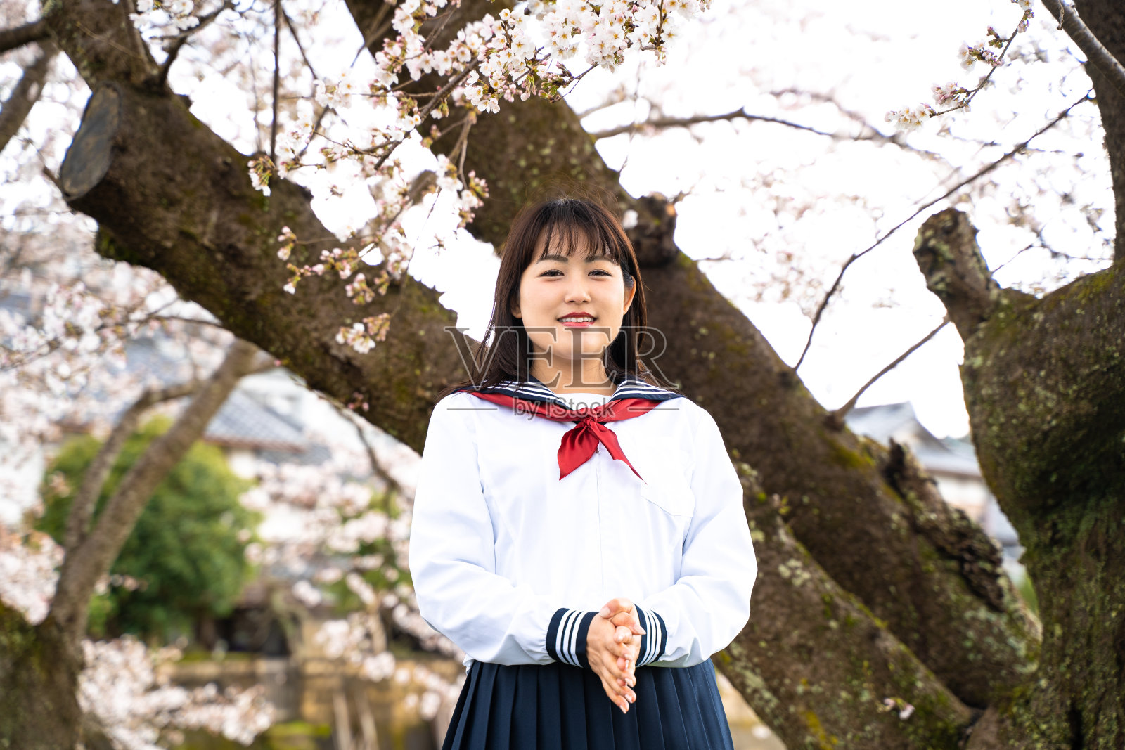 一个高中女生站在樱花前照片摄影图片