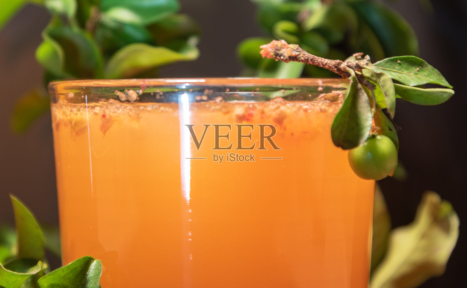 马齿苋天然汁液照片摄影图片