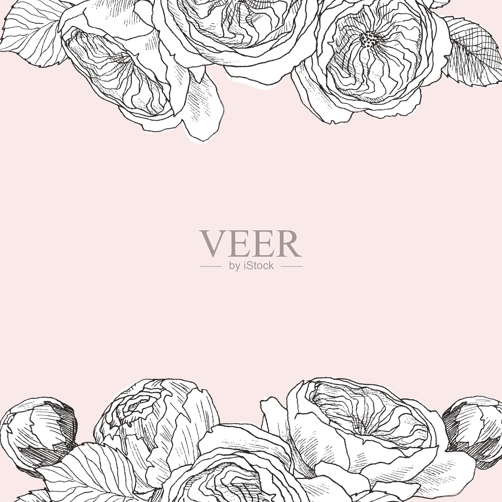 花园娇嫩的英国玫瑰框架年份插画图片素材