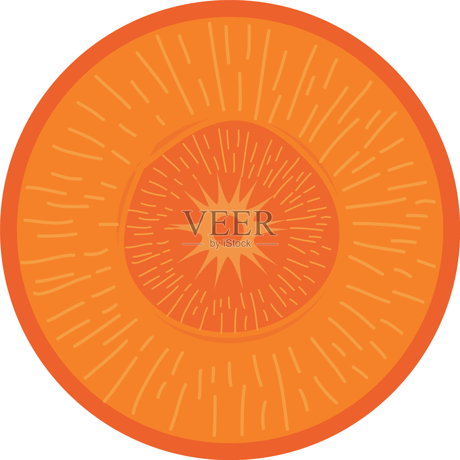 切片胡萝卜是新鲜蔬菜的象征插画图片素材