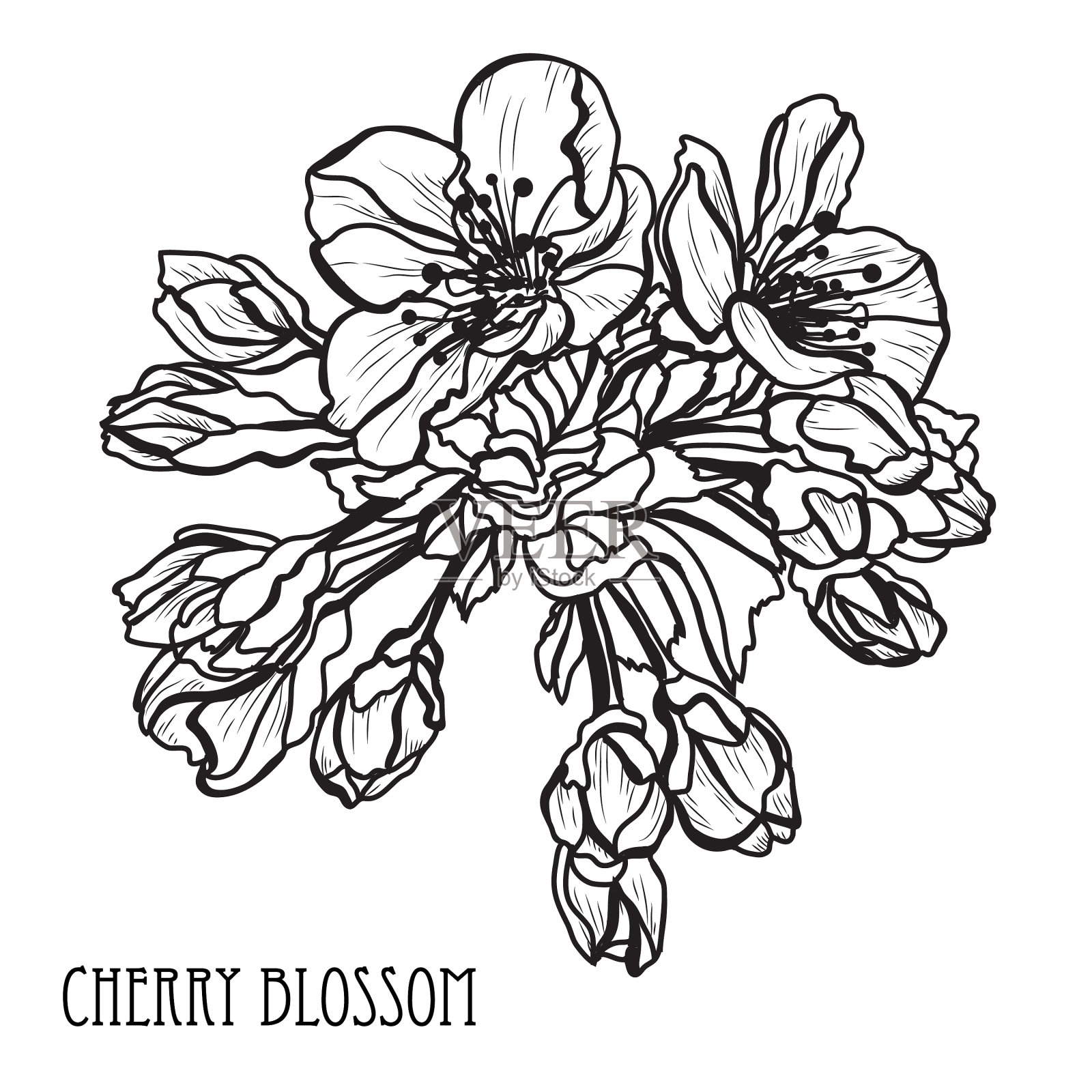 手绘花卉装饰设计元素图片