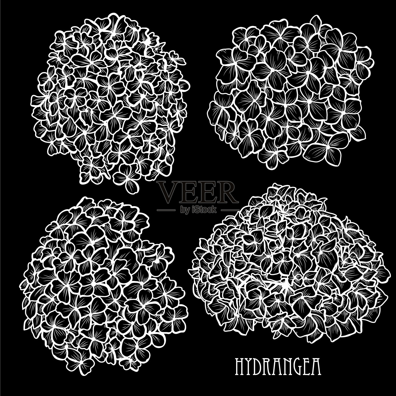 手绘花卉装饰插画图片素材