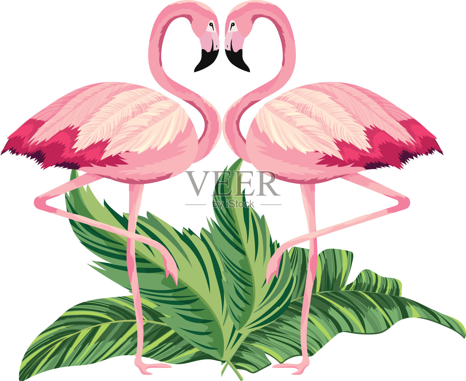 热带火烈鸟卡通设计元素图片