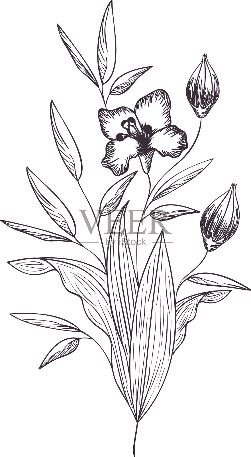 花和叶孤立的图标插画图片素材