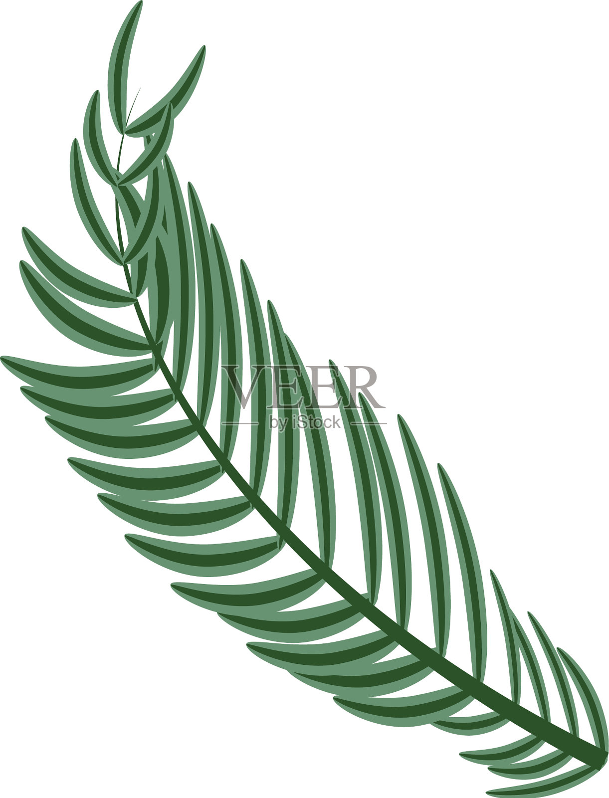 植物叶子中分离出来设计元素图片
