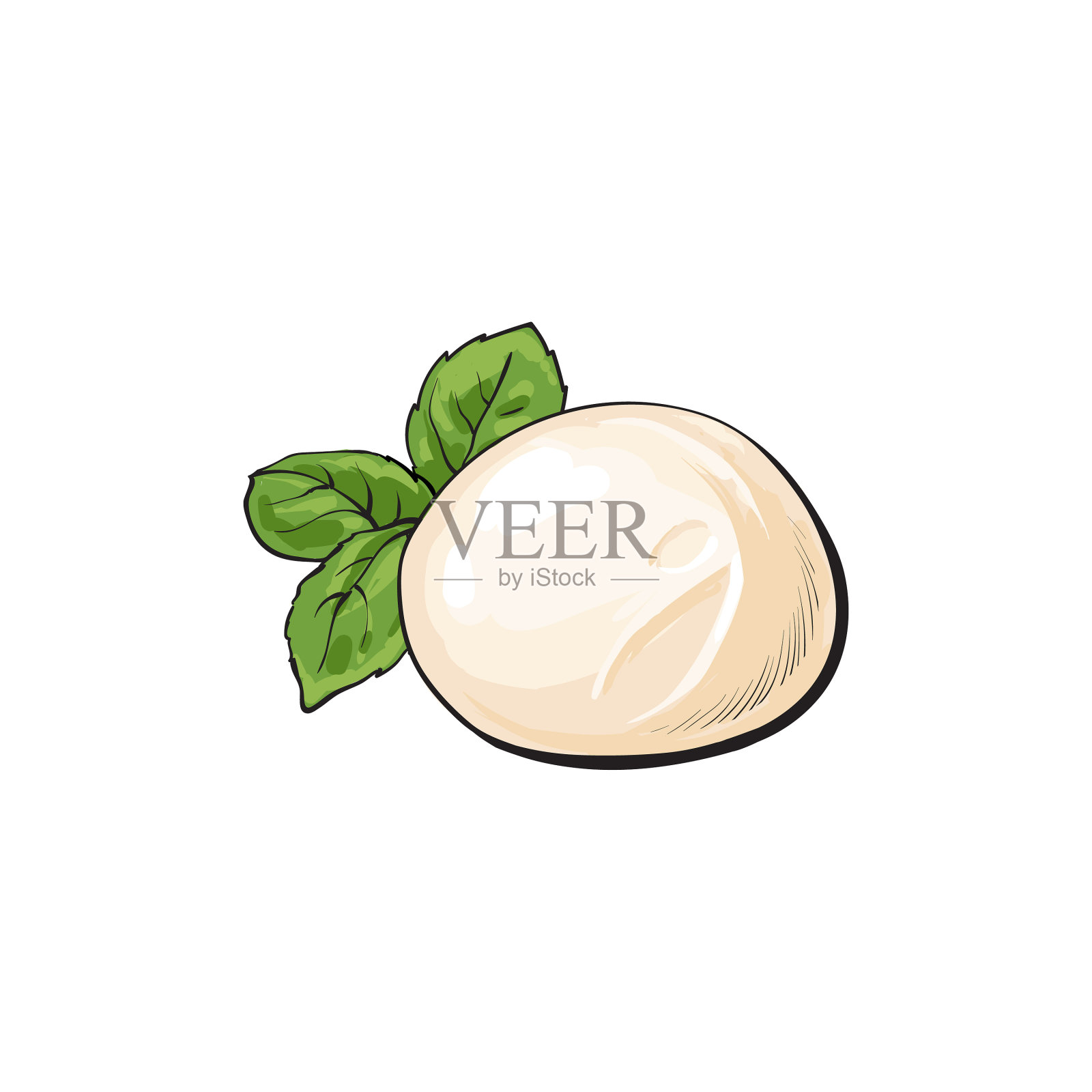 圆形的意大利马苏里拉奶酪设计元素图片