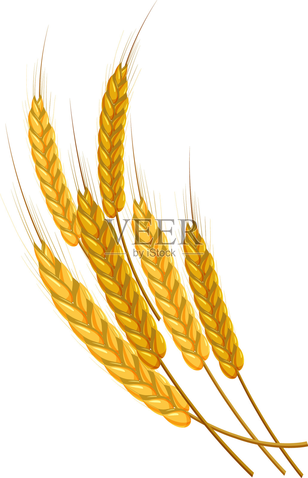 黄金成熟的麦穗图标卡通风格插画图片素材