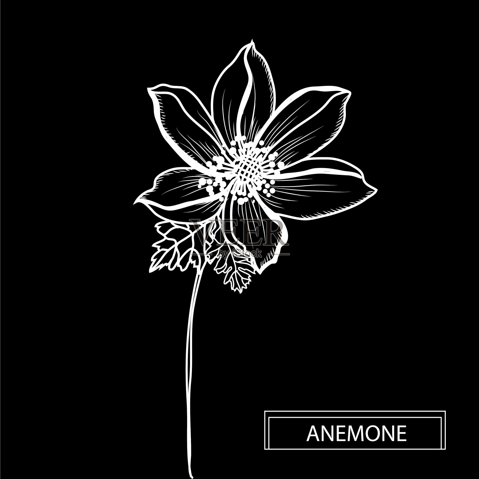 手绘花卉装饰插画图片素材