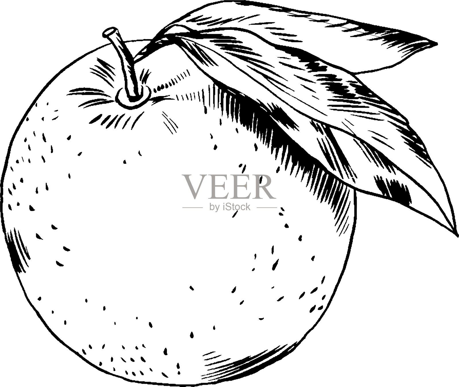 用手绘的橙色插画图片素材