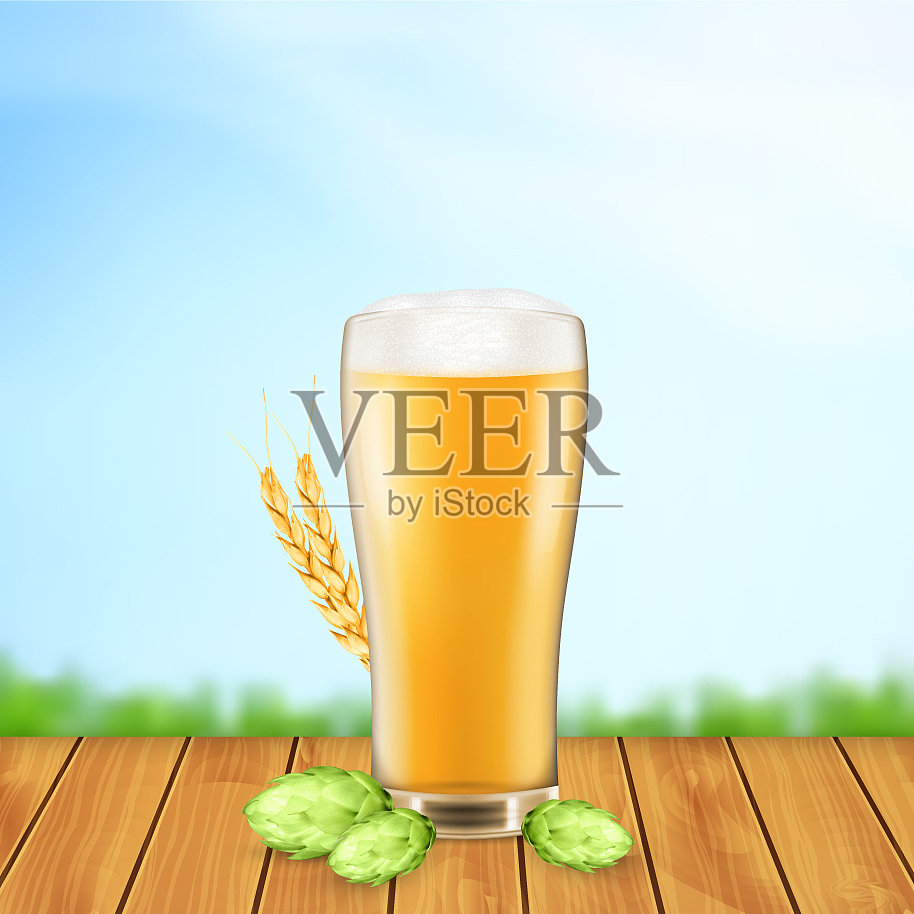 啤酒杯，啤酒花和小麦插画图片素材