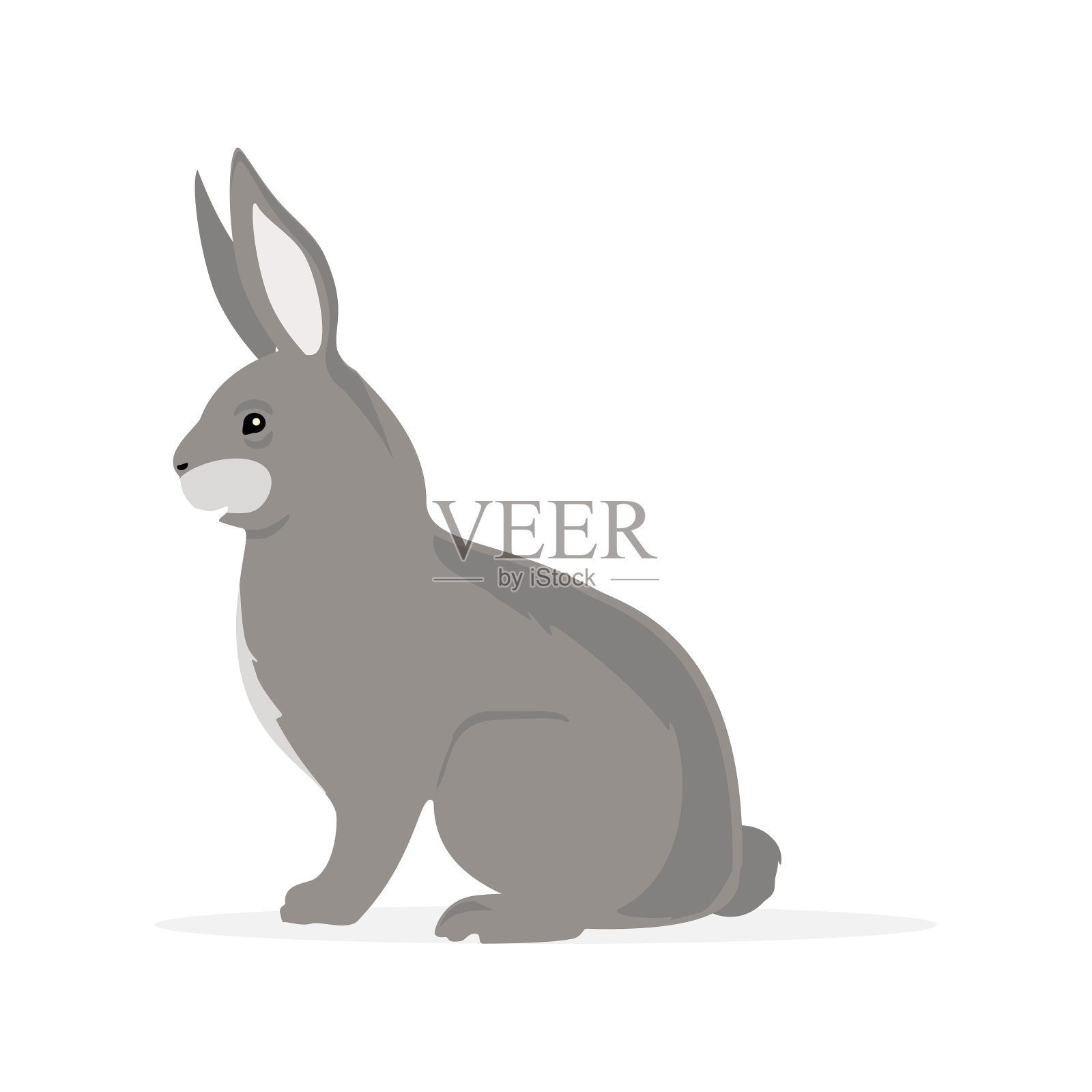 兔子啮齿动物兔子设计元素图片