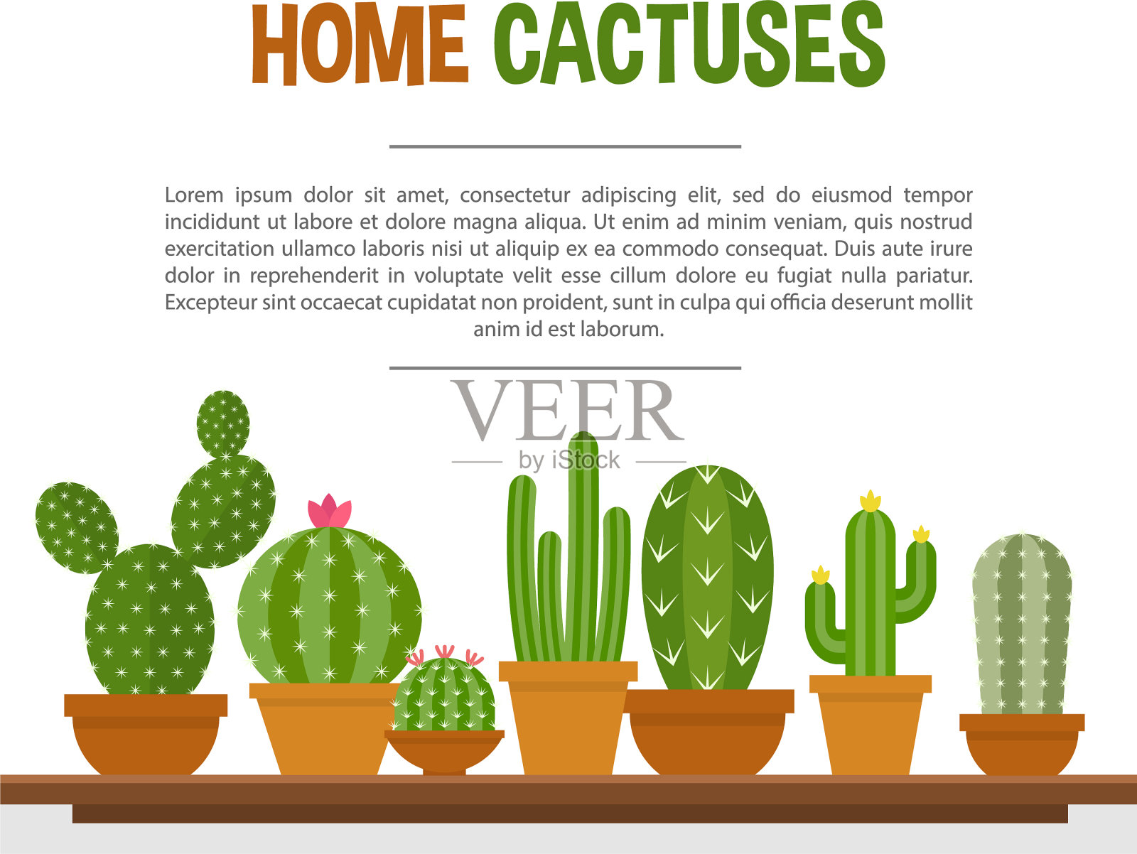 家仙人掌模型插画图片素材