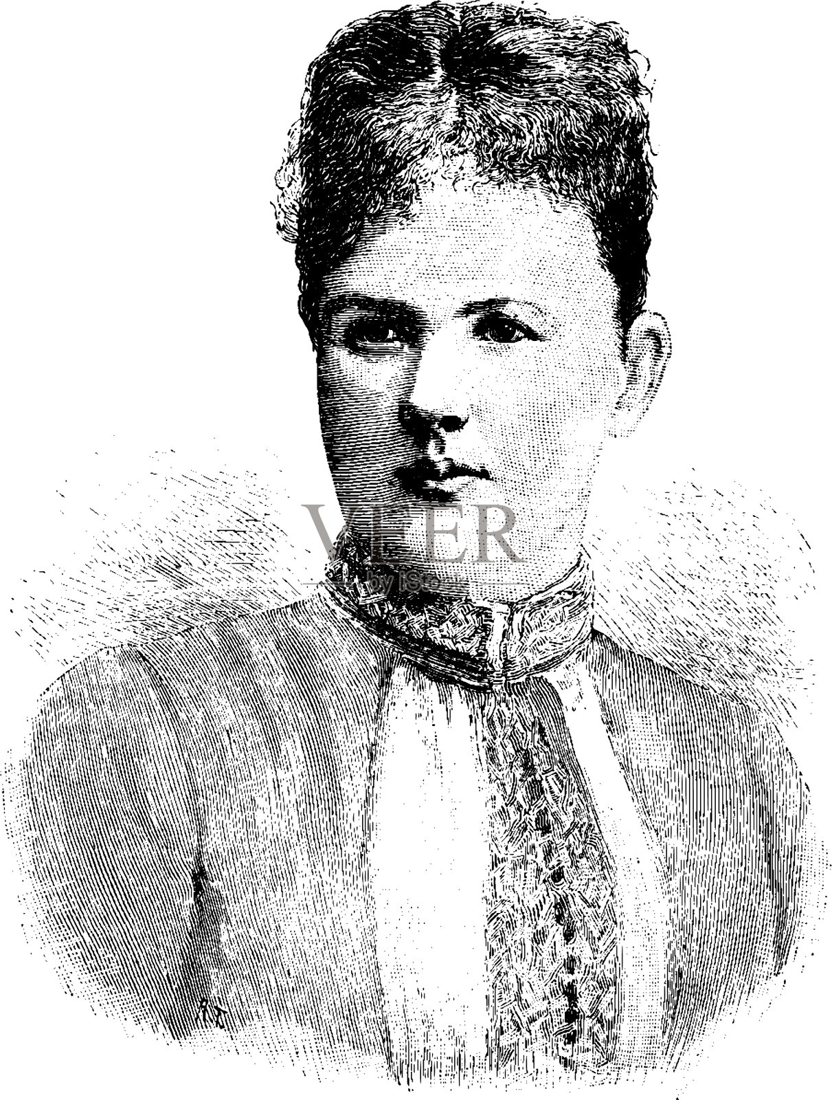 拿骚的索菲娅葡萄酒插画图片素材