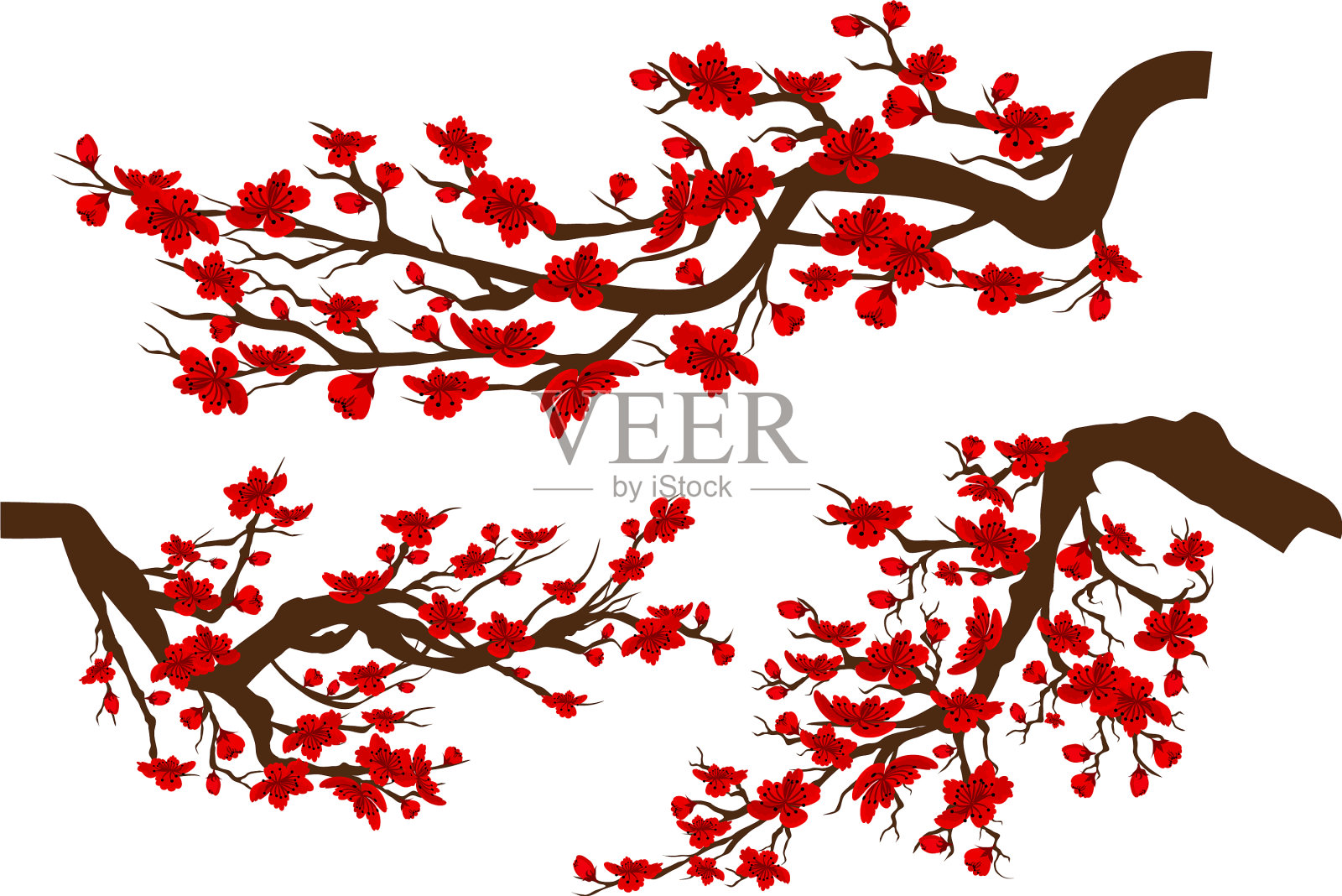 树枝上盛开的红色樱花日本设计元素图片