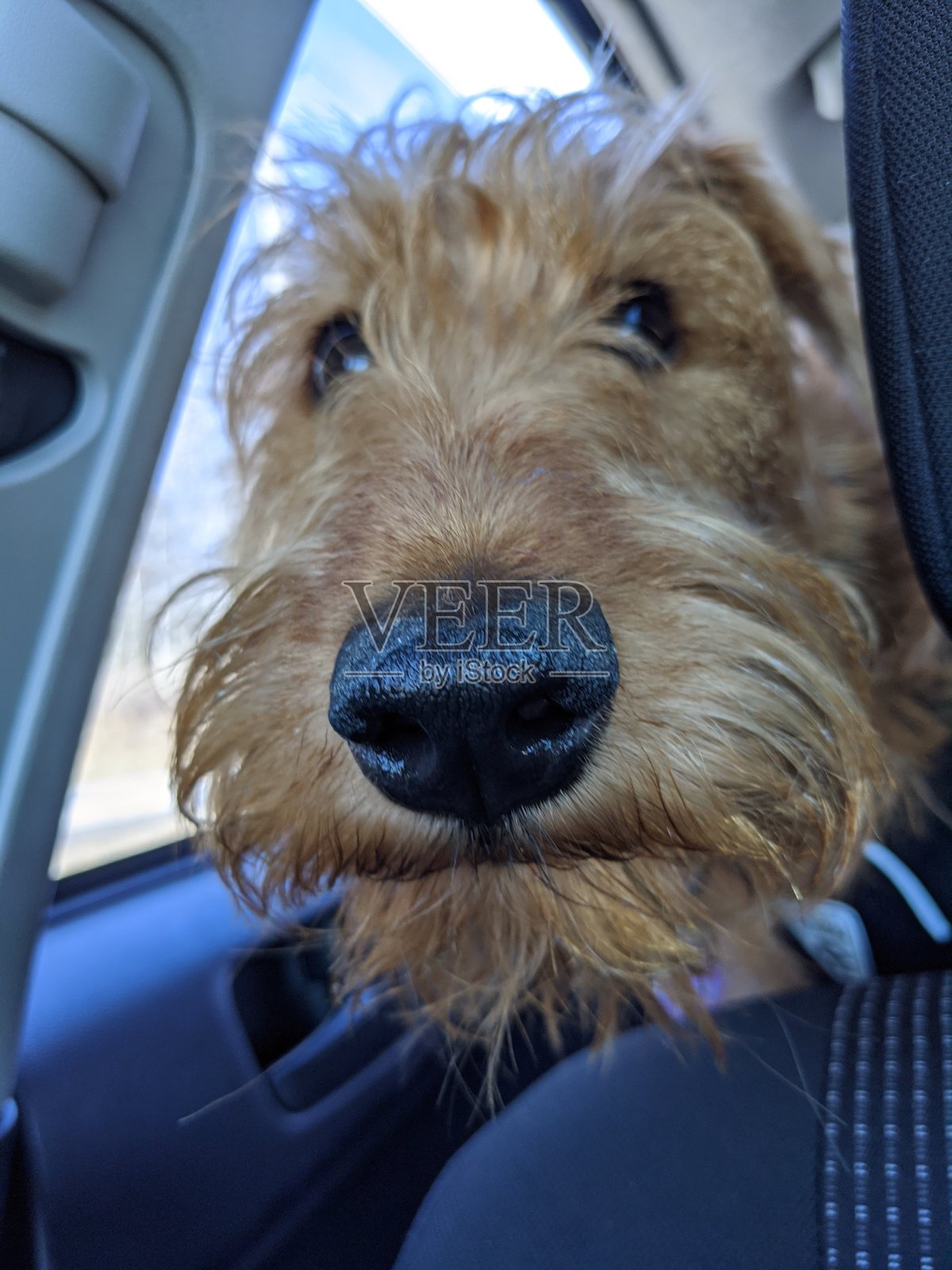 你好你照片摄影图片