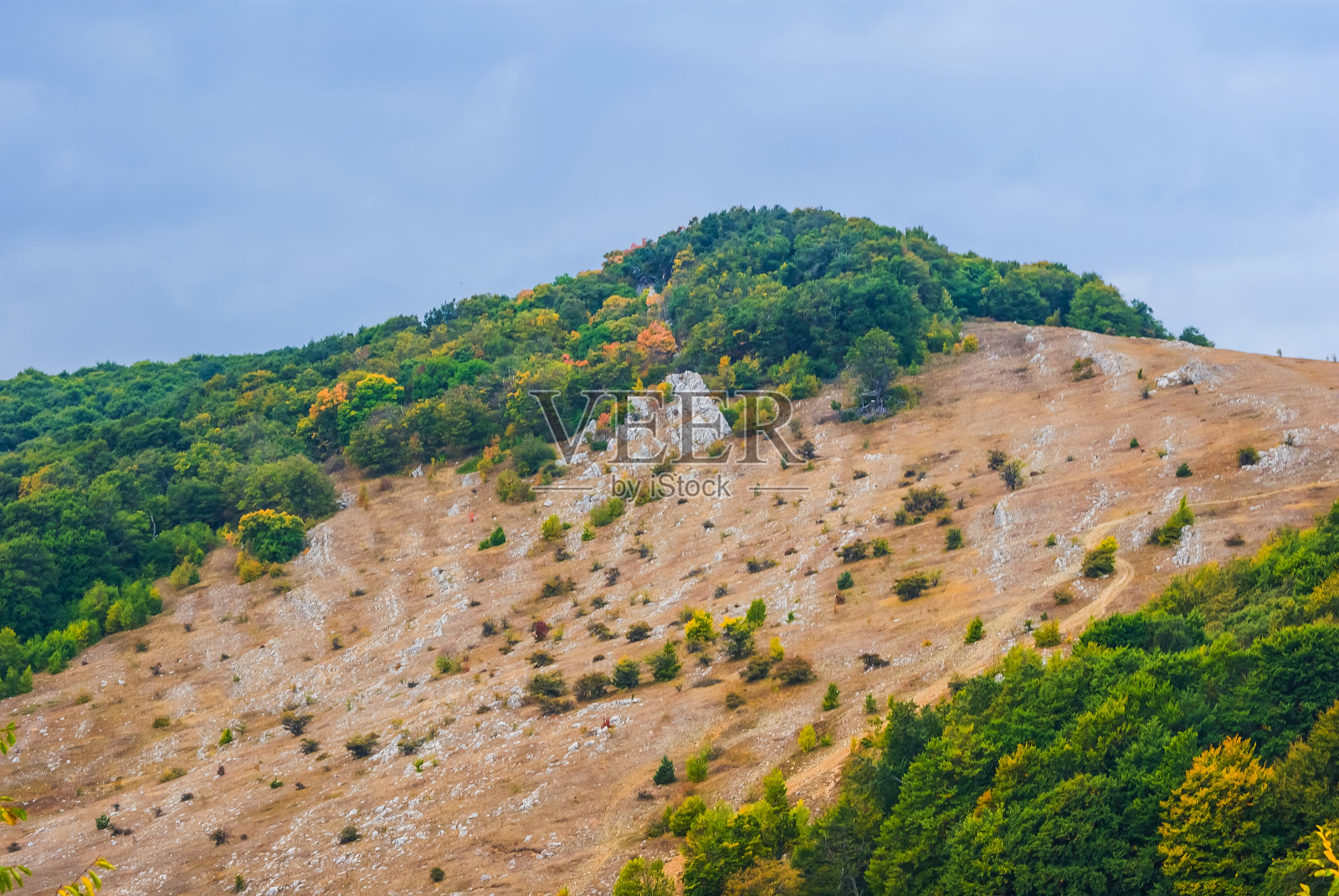 小山顶有森林照片摄影图片