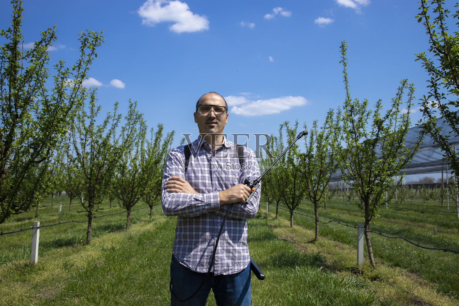 农学家在果园里用农药处理苹果树的肖像。在种植中喷洒果树。农业。照片摄影图片