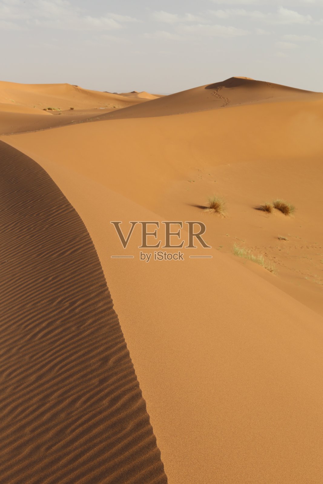 摩洛哥沙漠中沙丘边缘的沙子照片摄影图片