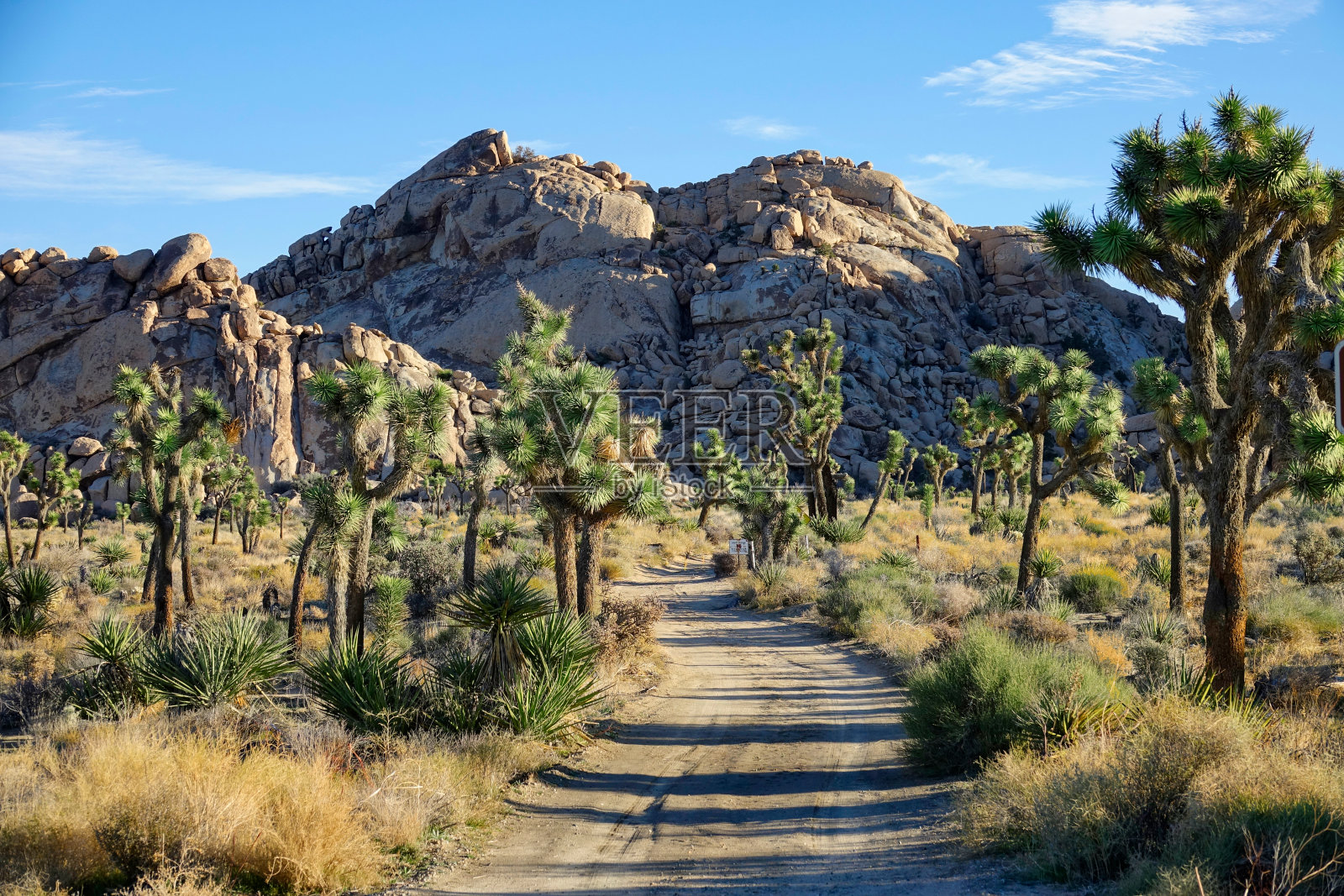 空旷的土路通向约书亚树国家公园一个令人敬畏的攀岩点。照片摄影图片