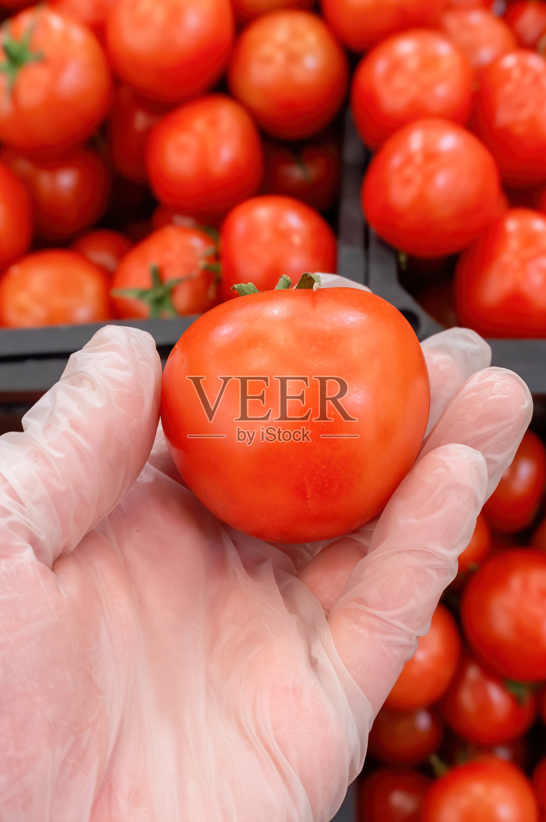 买西红柿的时候手上要戴手套照片摄影图片