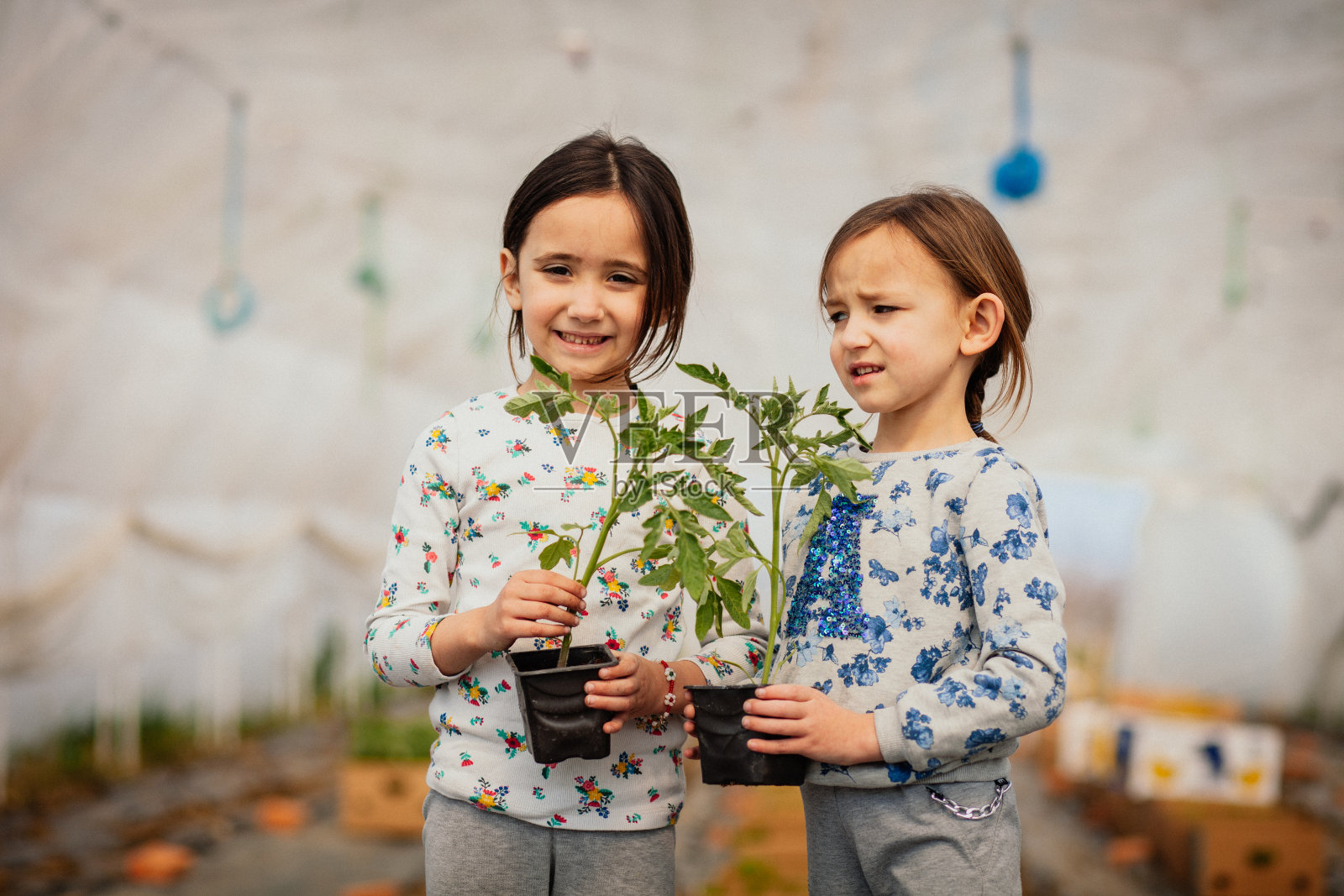 孩子园艺照片摄影图片