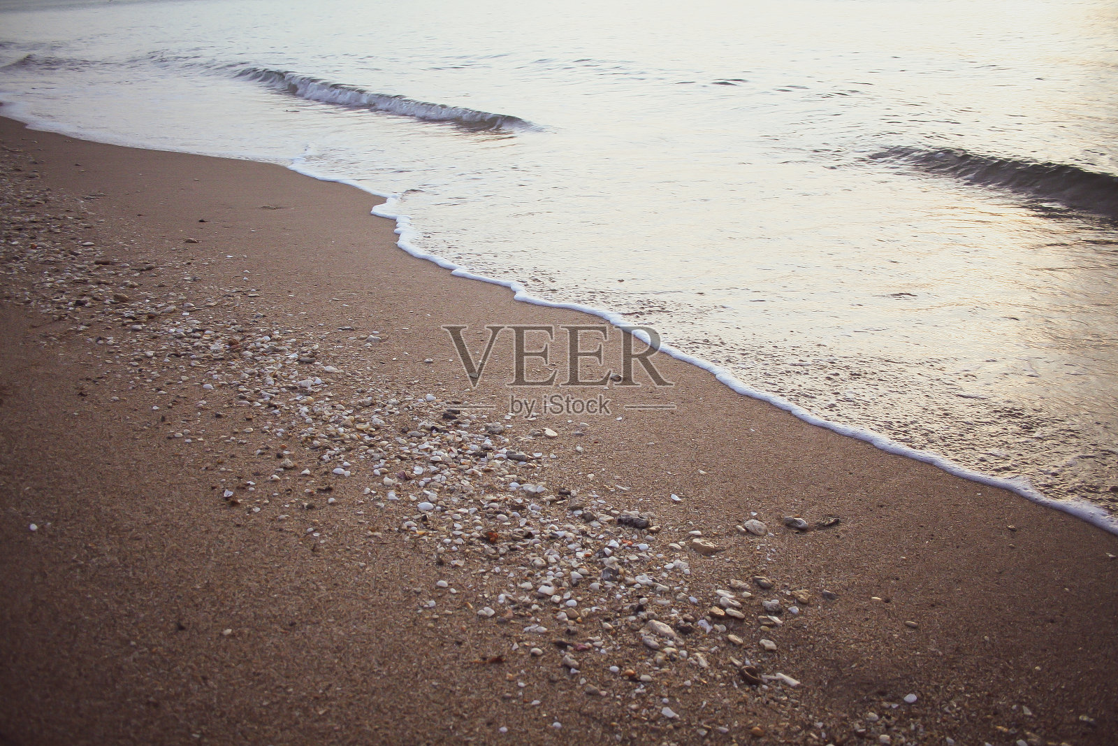 劳德代尔堡海滩生活照片摄影图片