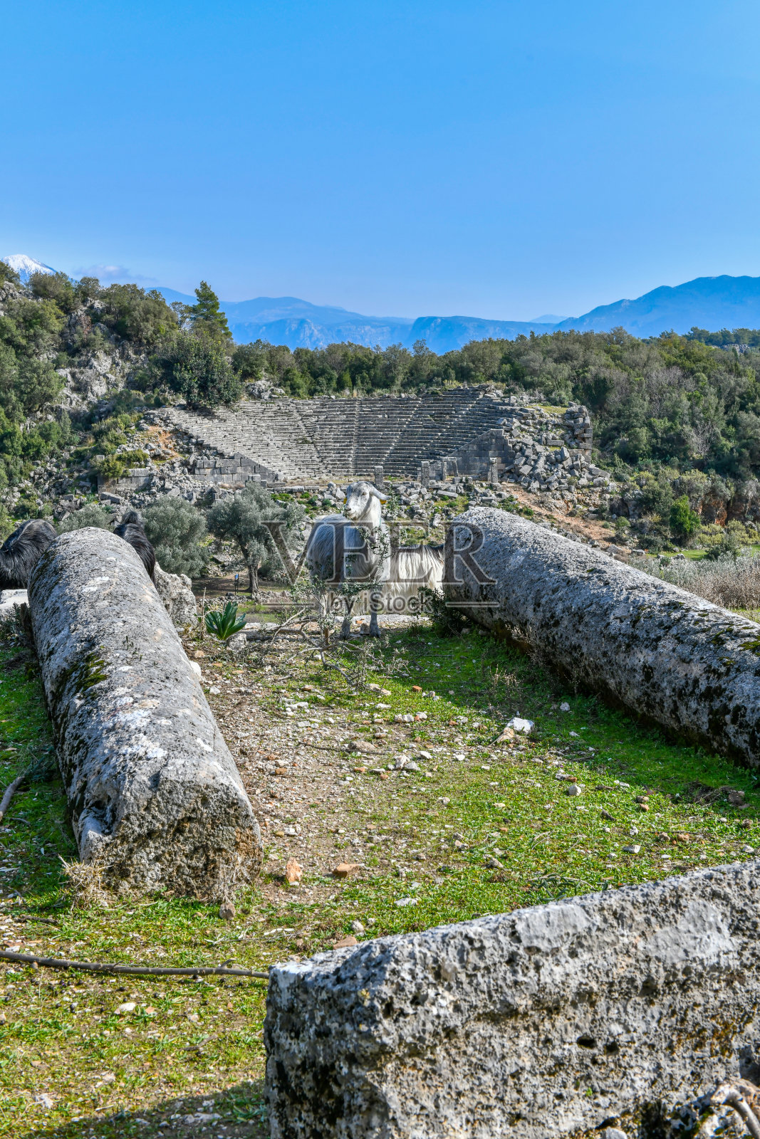 菲特耶古城皮纳拉。火鸡照片摄影图片
