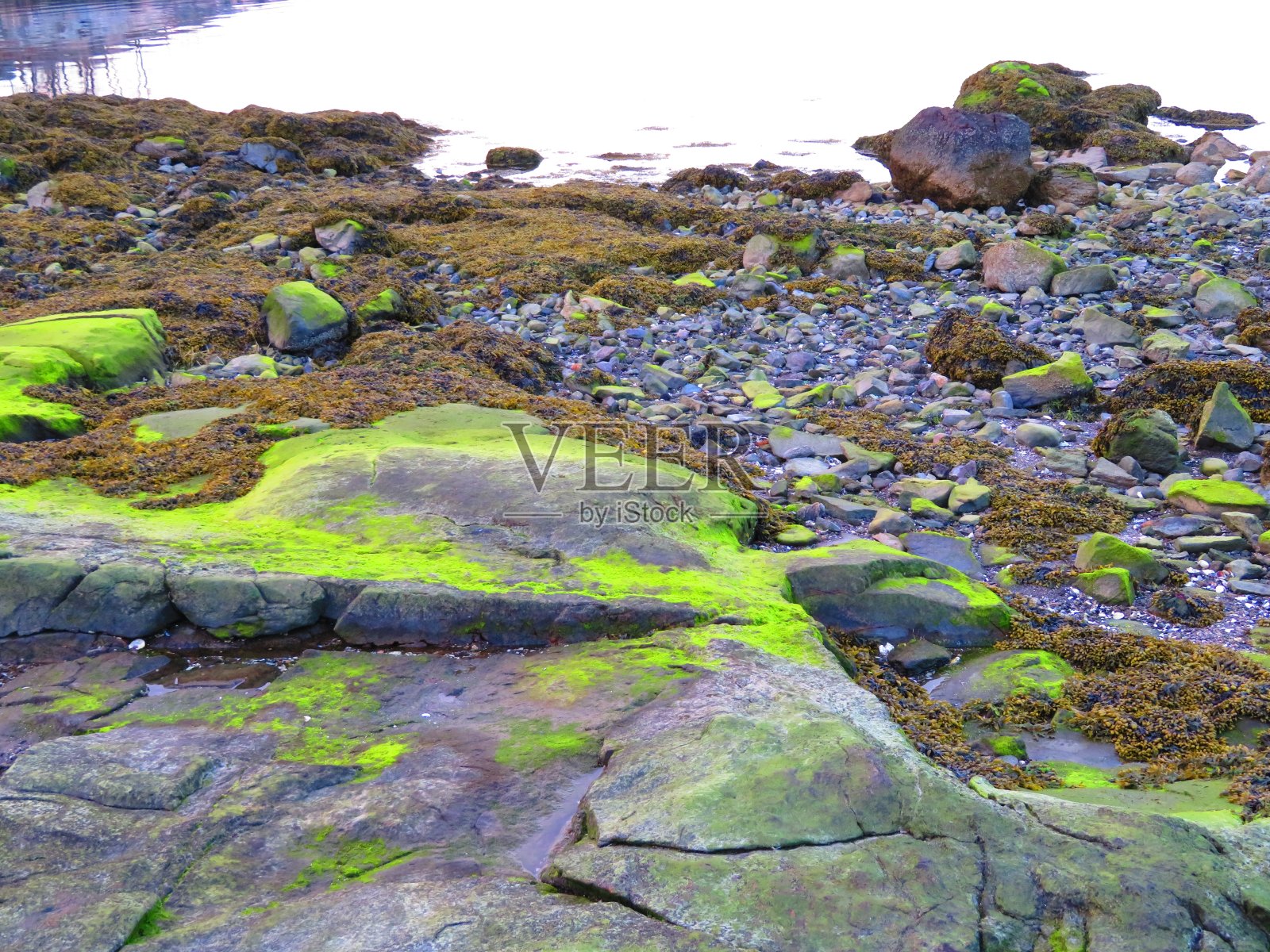 纽约海滩上的岩石照片摄影图片