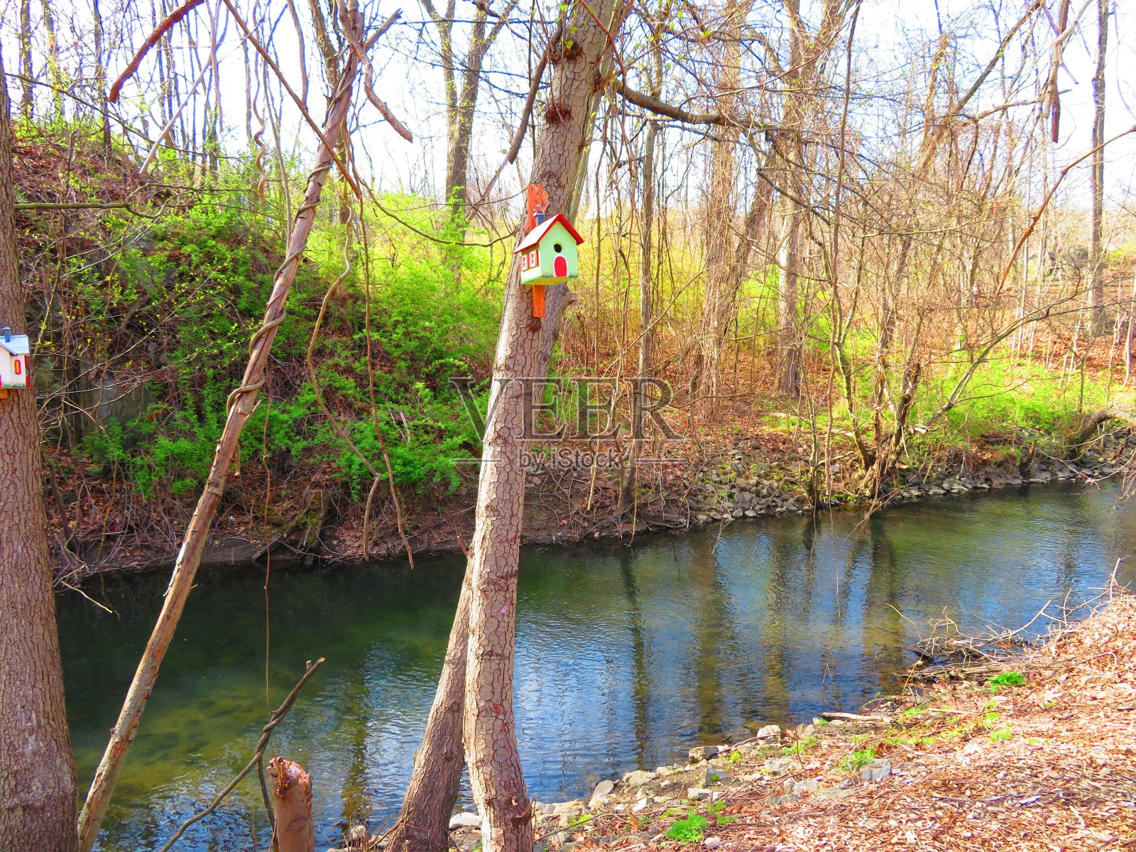 树林里的鸟屋照片摄影图片