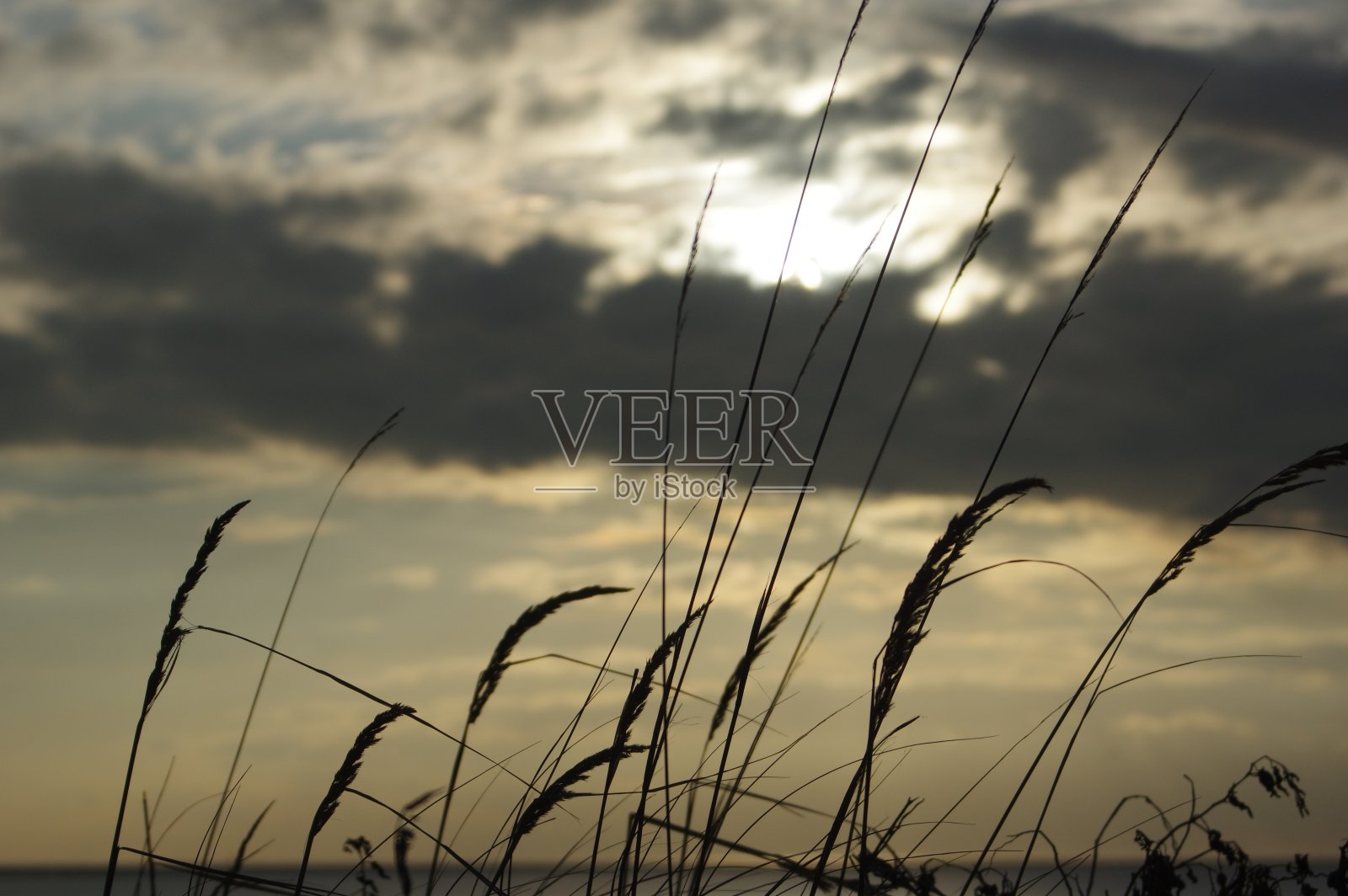 美丽的法国诺曼底海岸线照片摄影图片