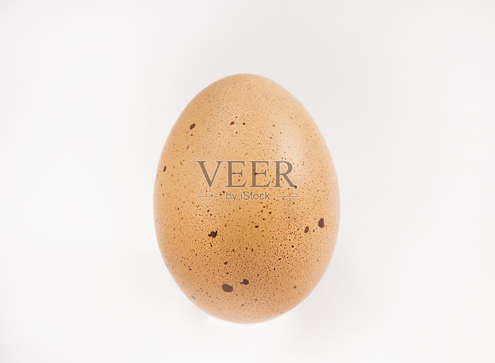 蛋照片摄影图片