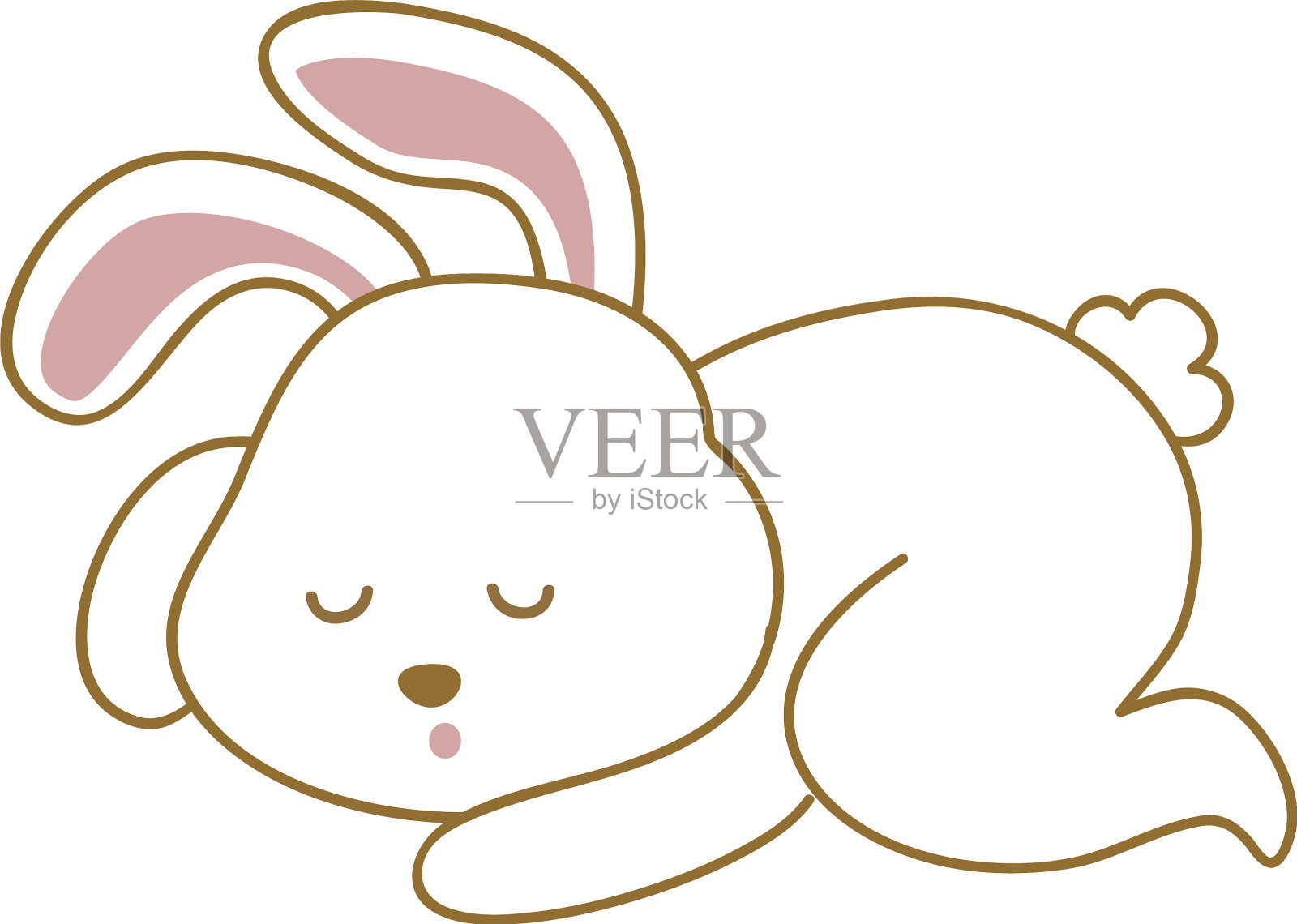 白色背景下睡着的兔子